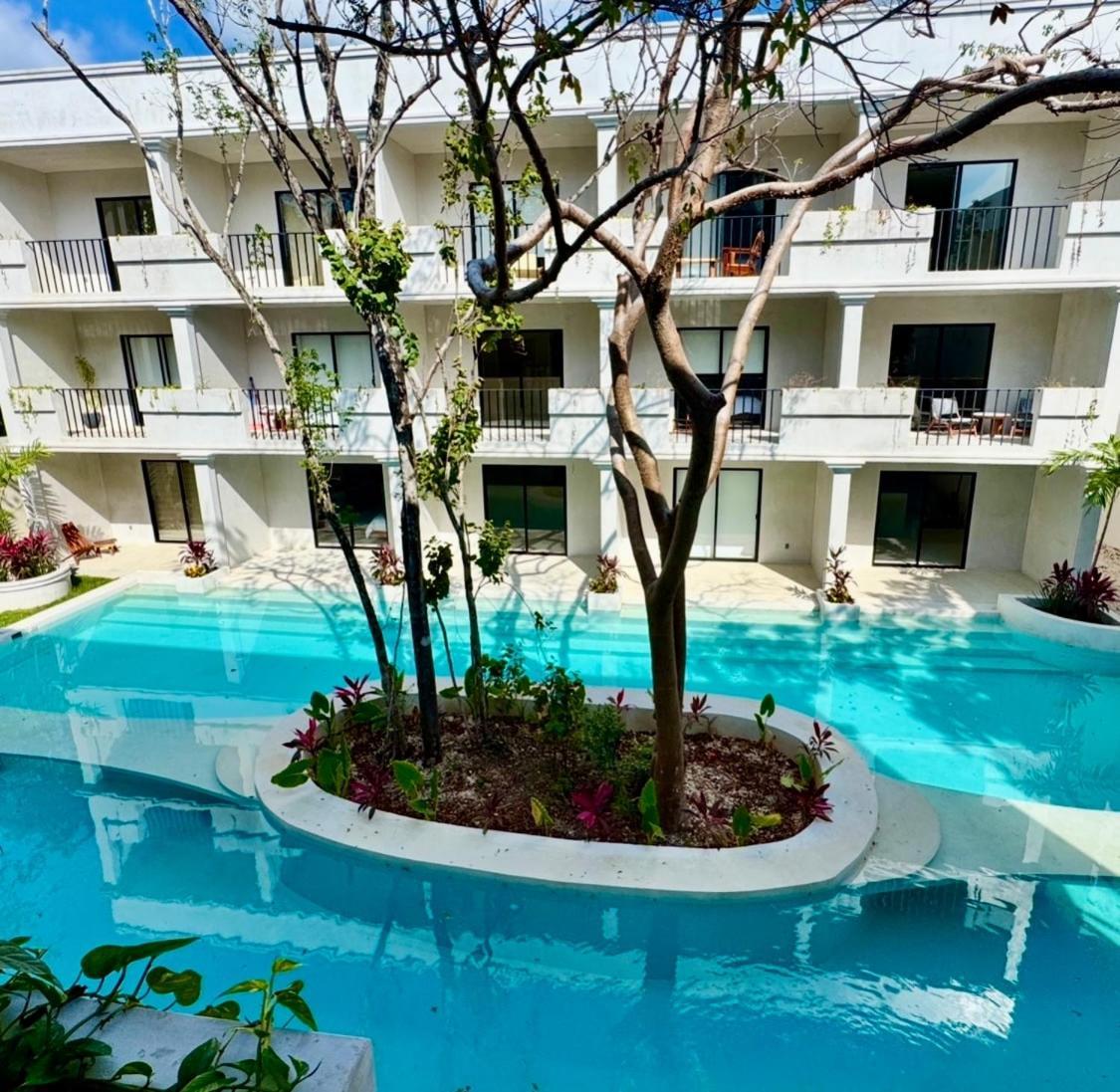 Jungle Loft With Pool And Rooftop Near And Cenotes And Dowtown! Fast Wifi! Perfect For Expats *