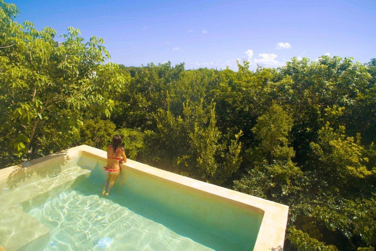 Villa Casa Hibiscus Sky-high Pool With Birds Above The Jungle *
