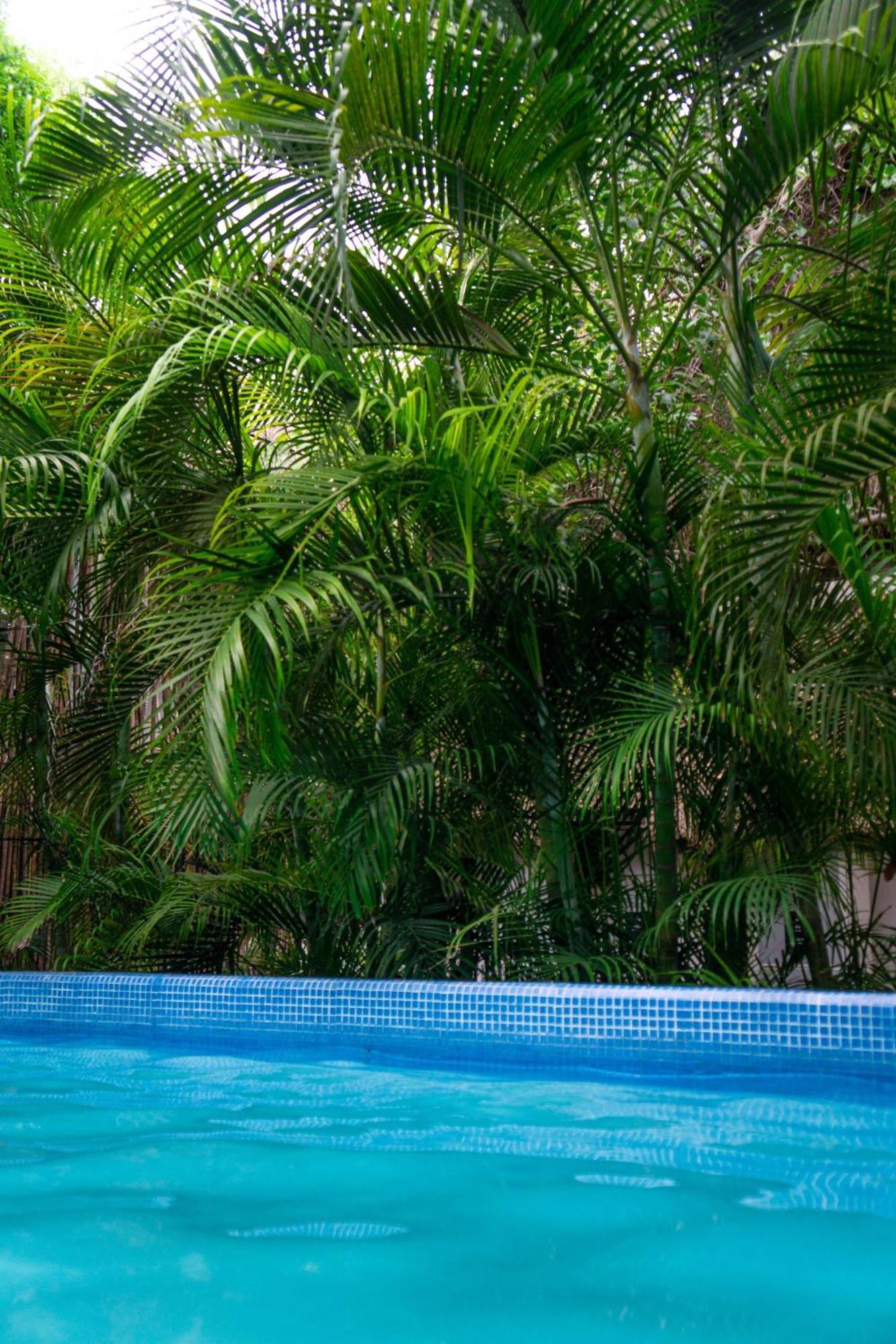 Hostel Maui *