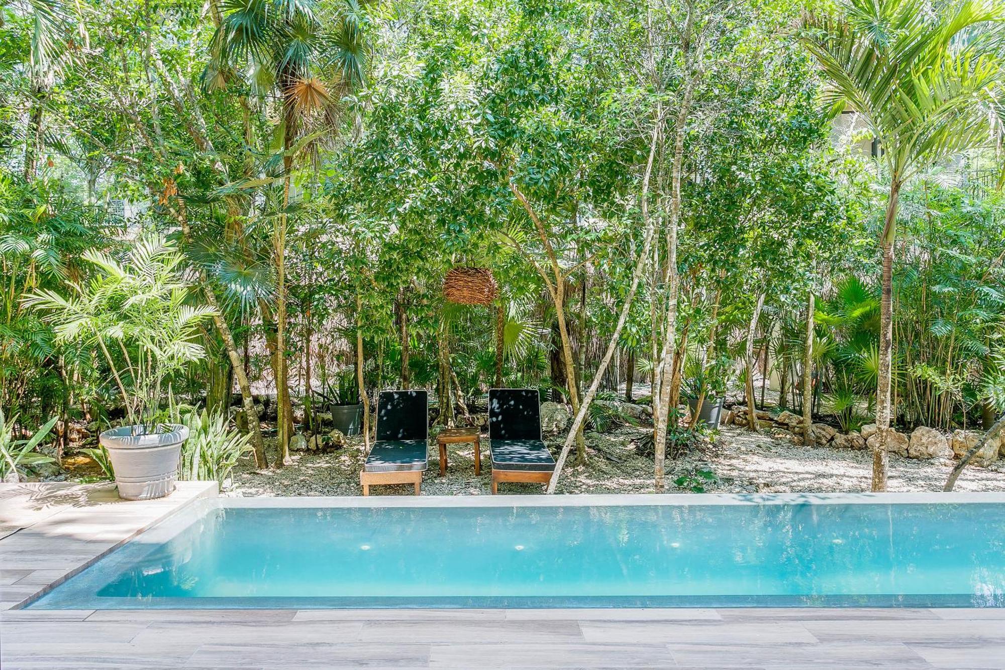 Luxurious Oasis Jacuzzi With Art Gallery And Pool *