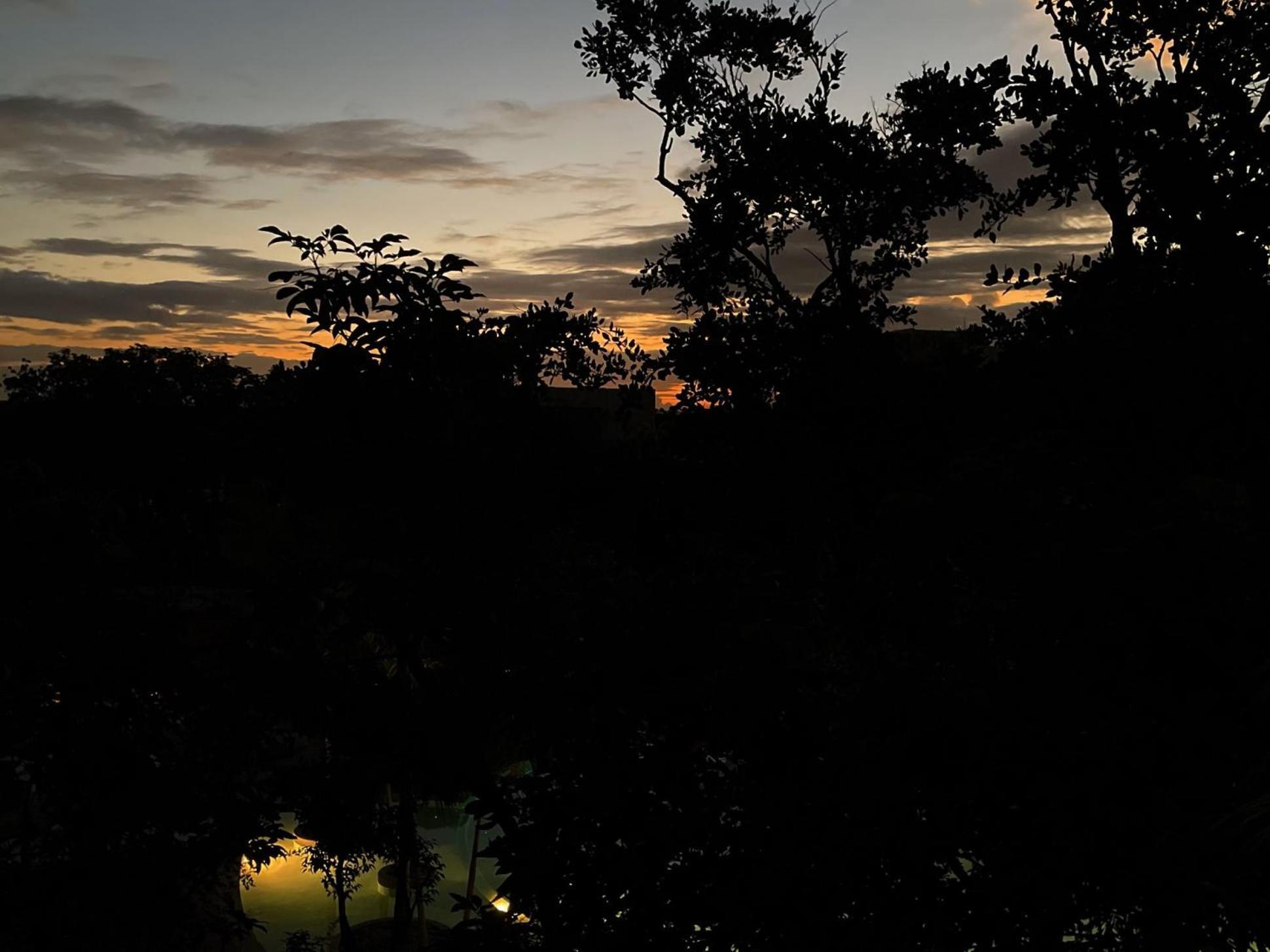 Aflora - Managed By Elite Alliance Tulum