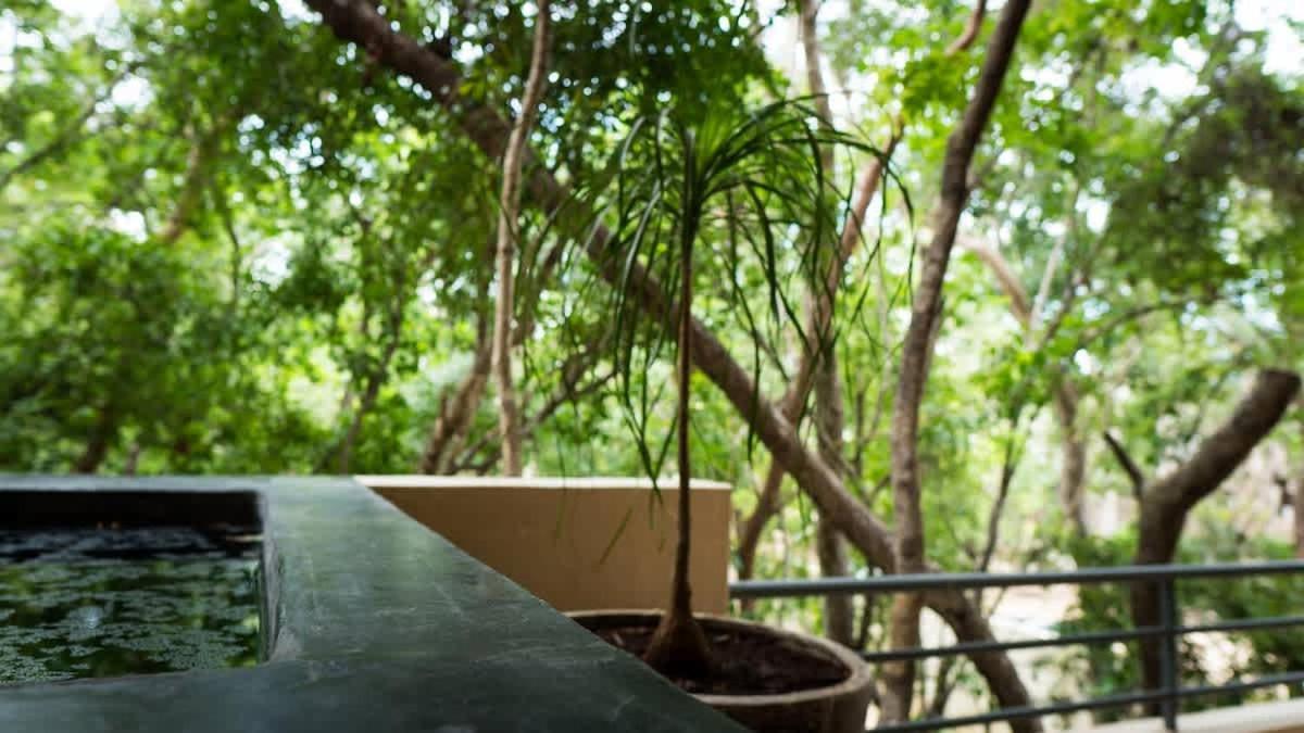 Stylish Modern 3br Retreat With Luxe Plunge Pool Holiday home *