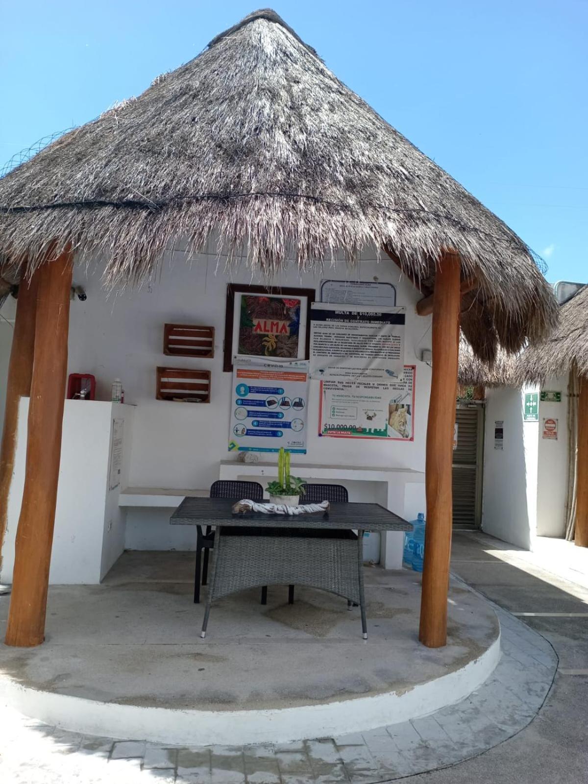 Apartment Deptos Alma Tulum