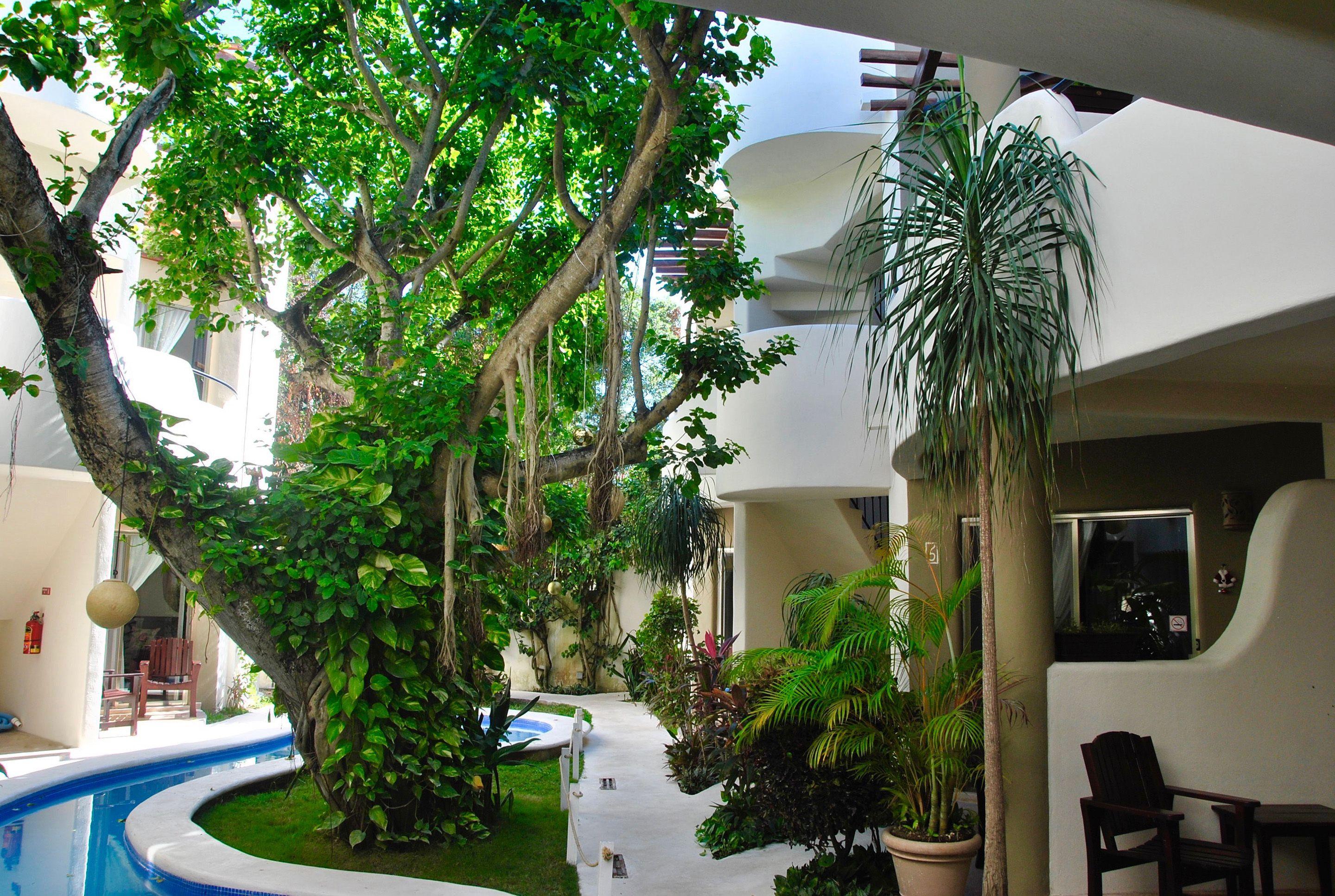 Hotel Boutique 06 (adults Only)