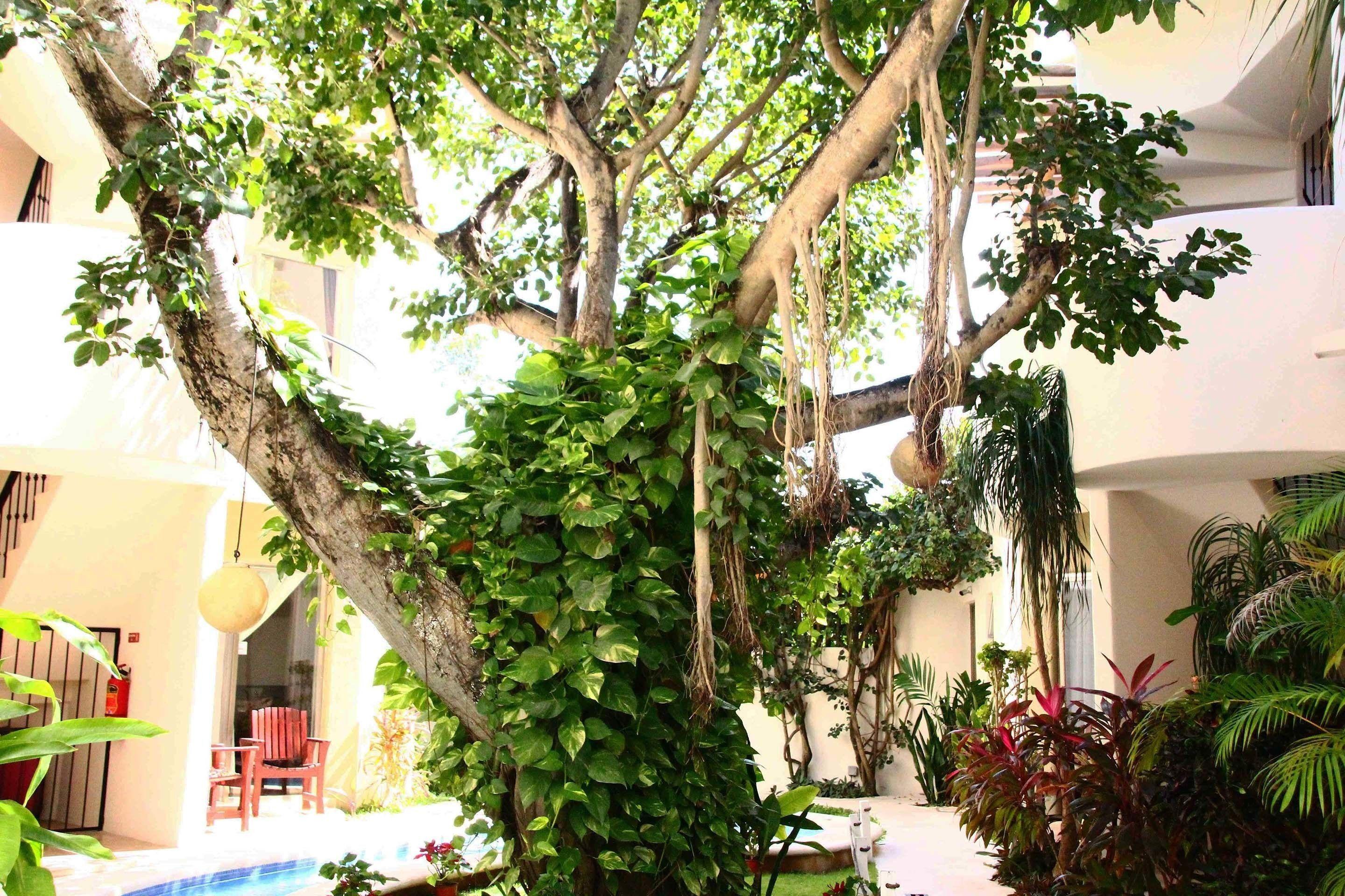 Hotel Boutique 06 (adults Only) 3*
