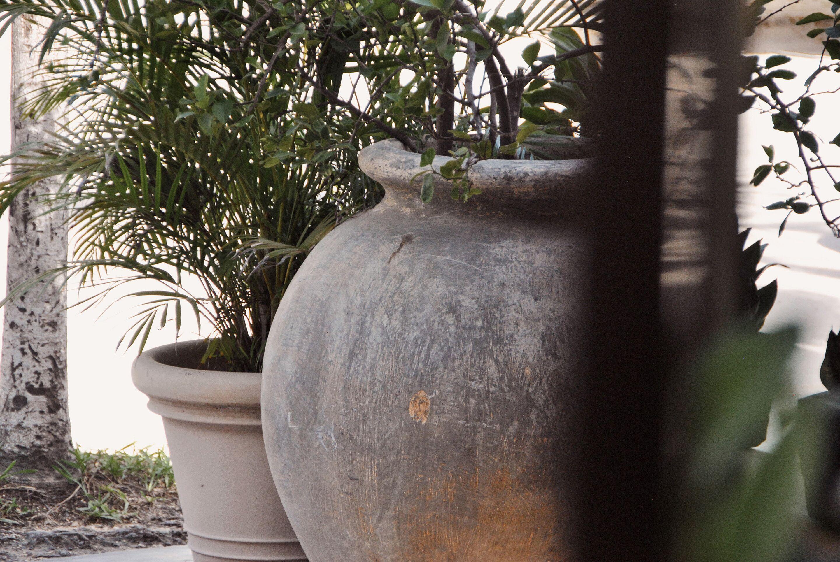 Hotel Boutique 06 (adults Only) Tulum