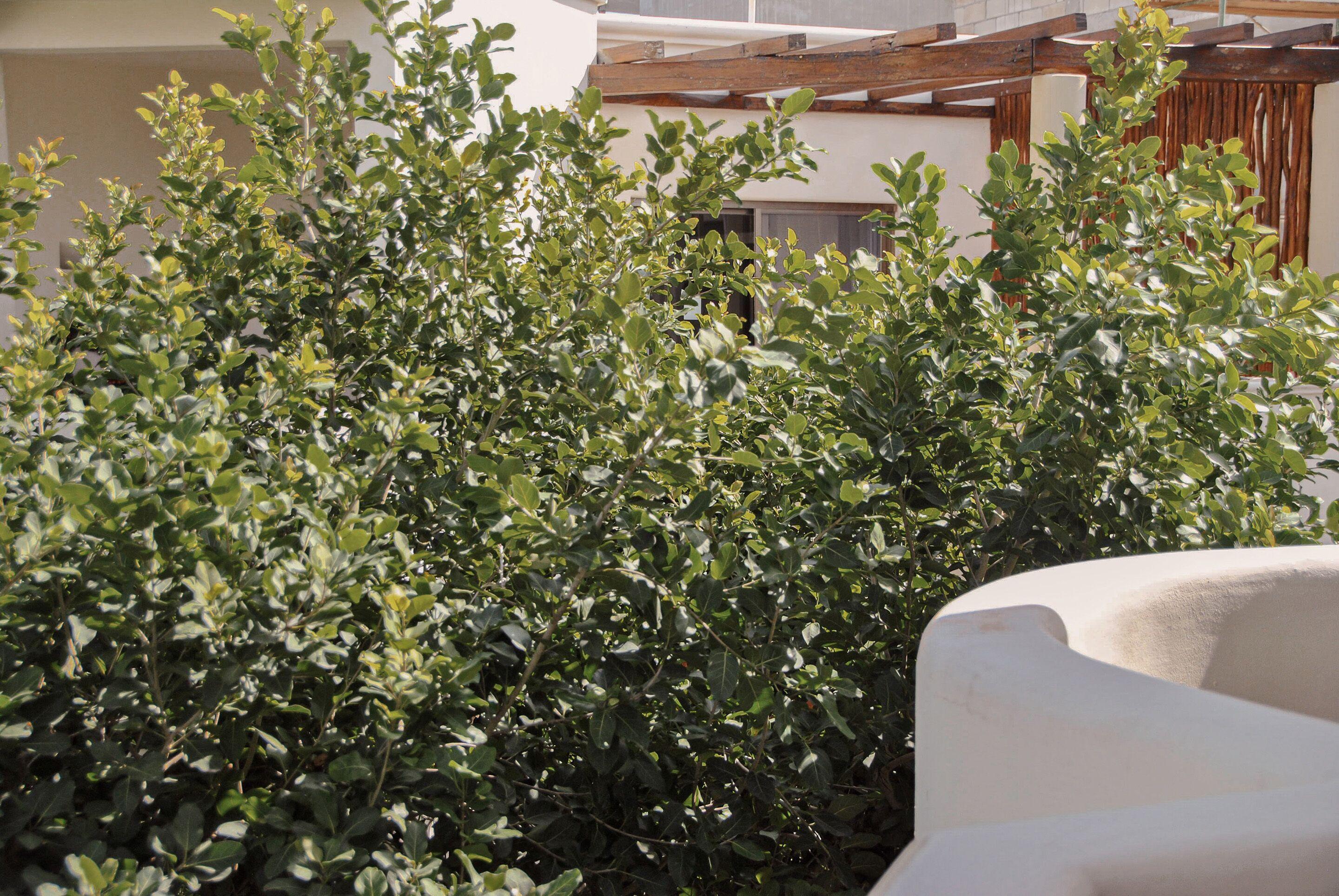 Hotel Boutique 06 (adults Only)