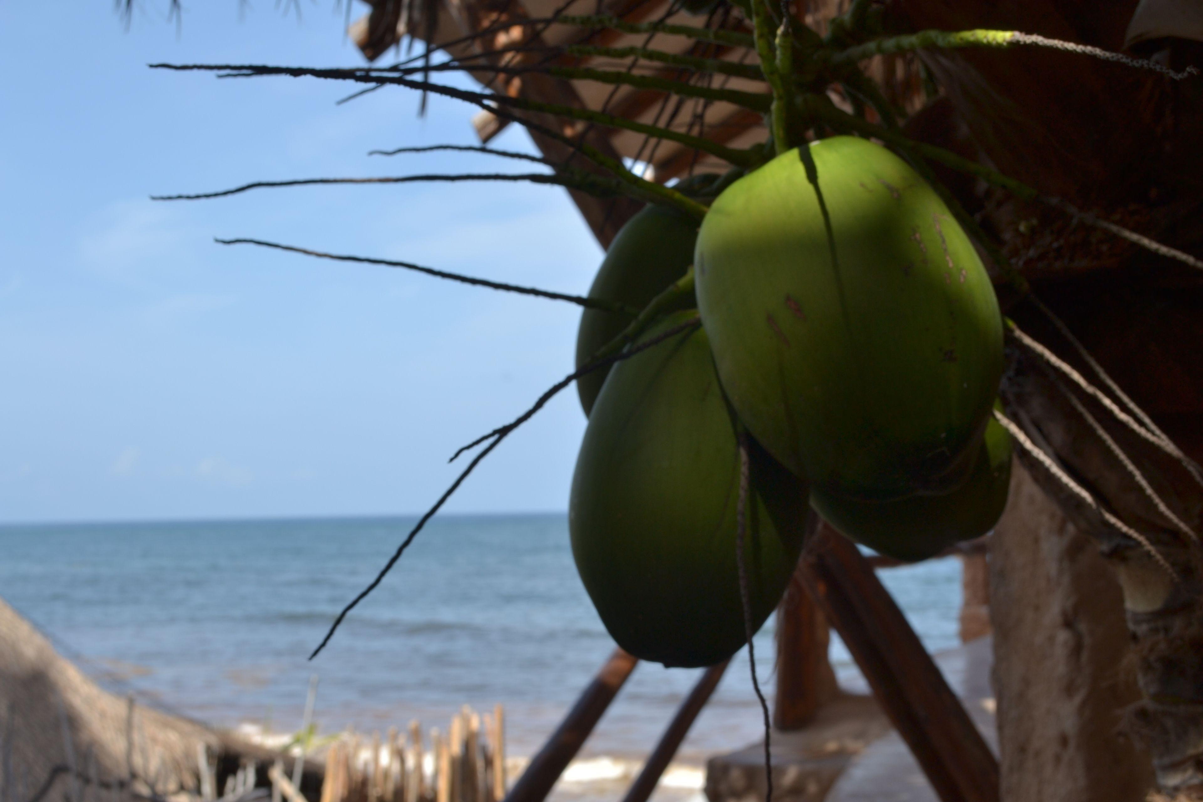 La Del Sol Boutique