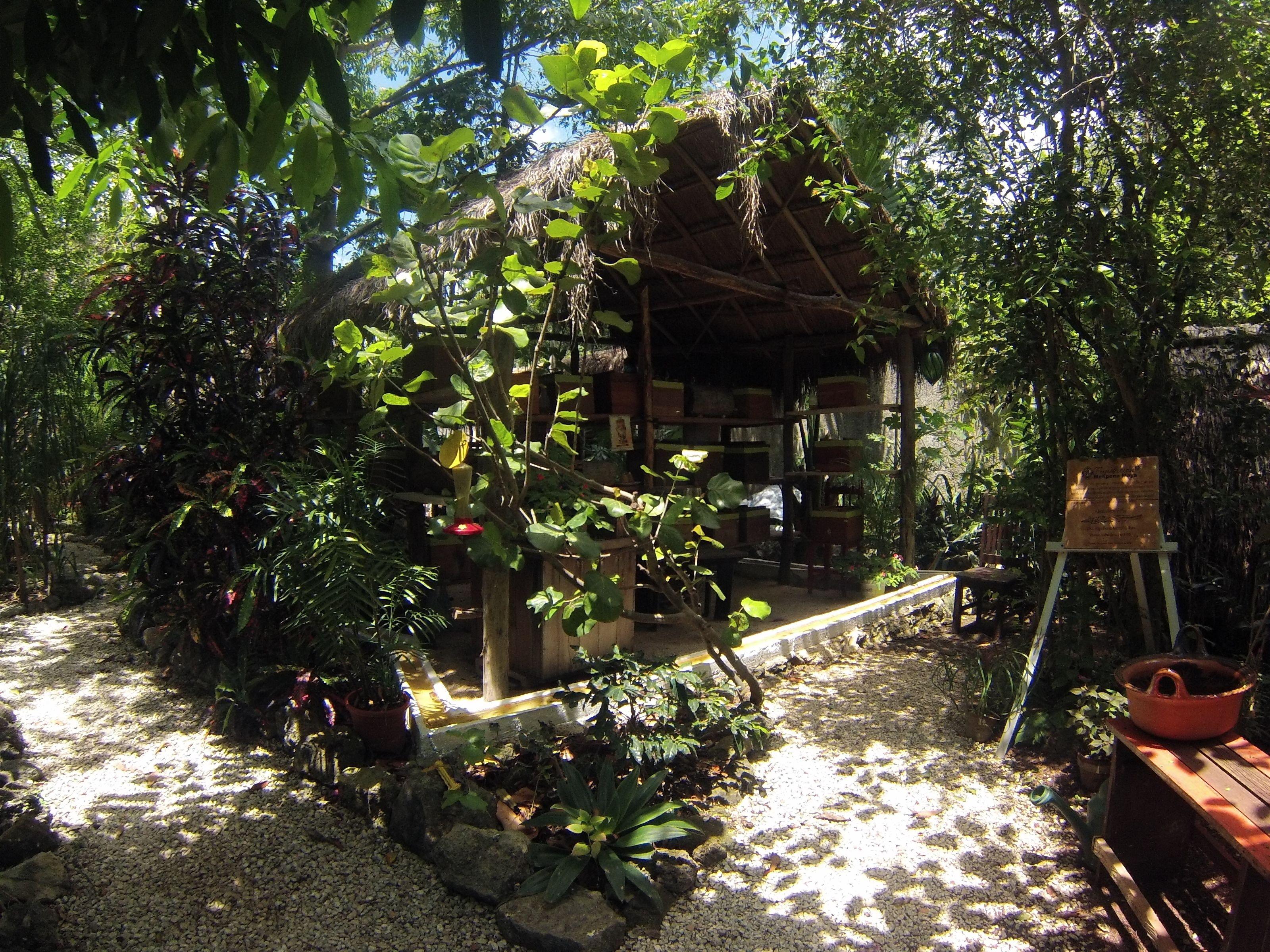 Bed & Breakfast Casa Don Diego