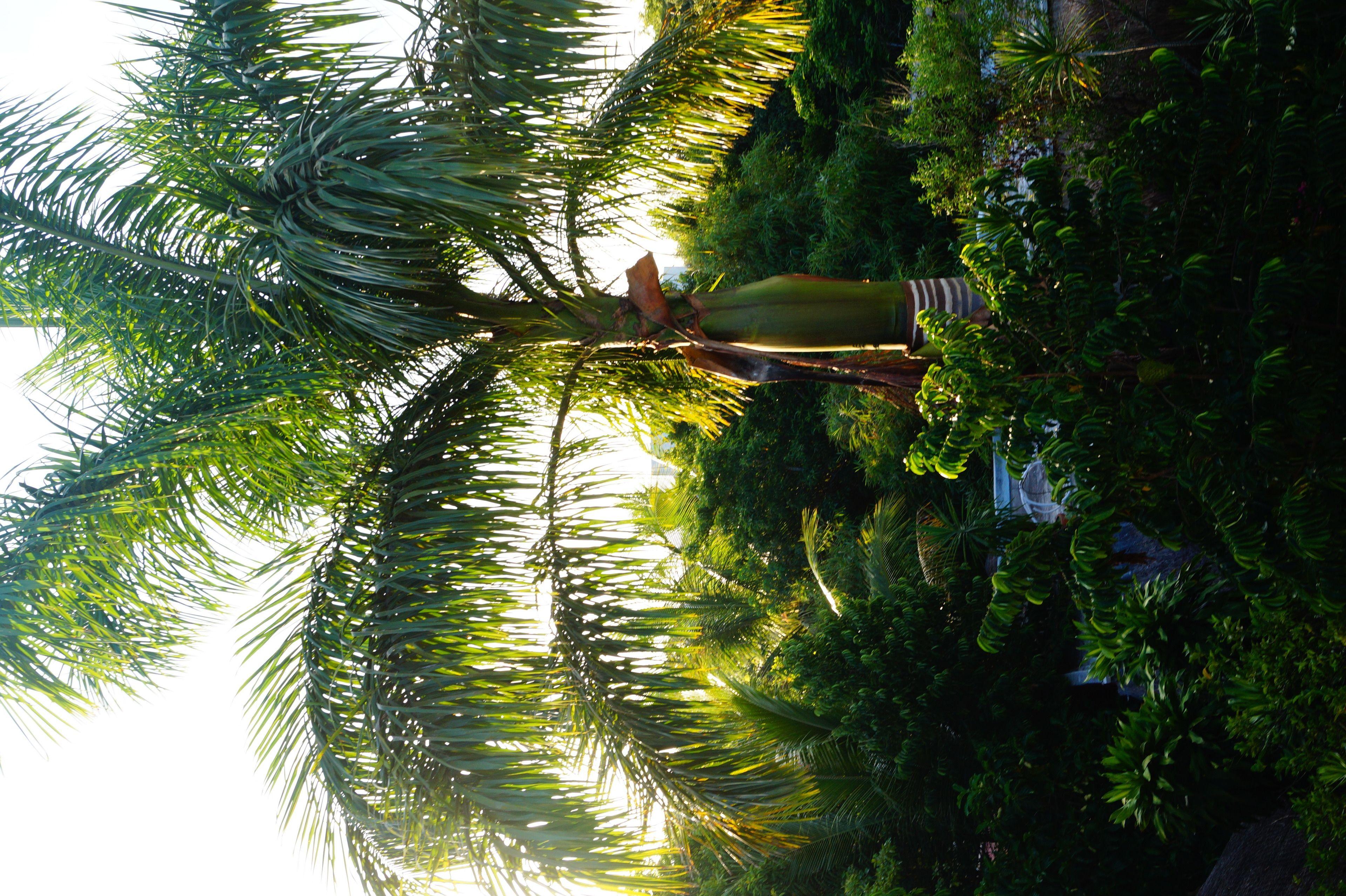 Casa Don Diego Bed & Breakfast