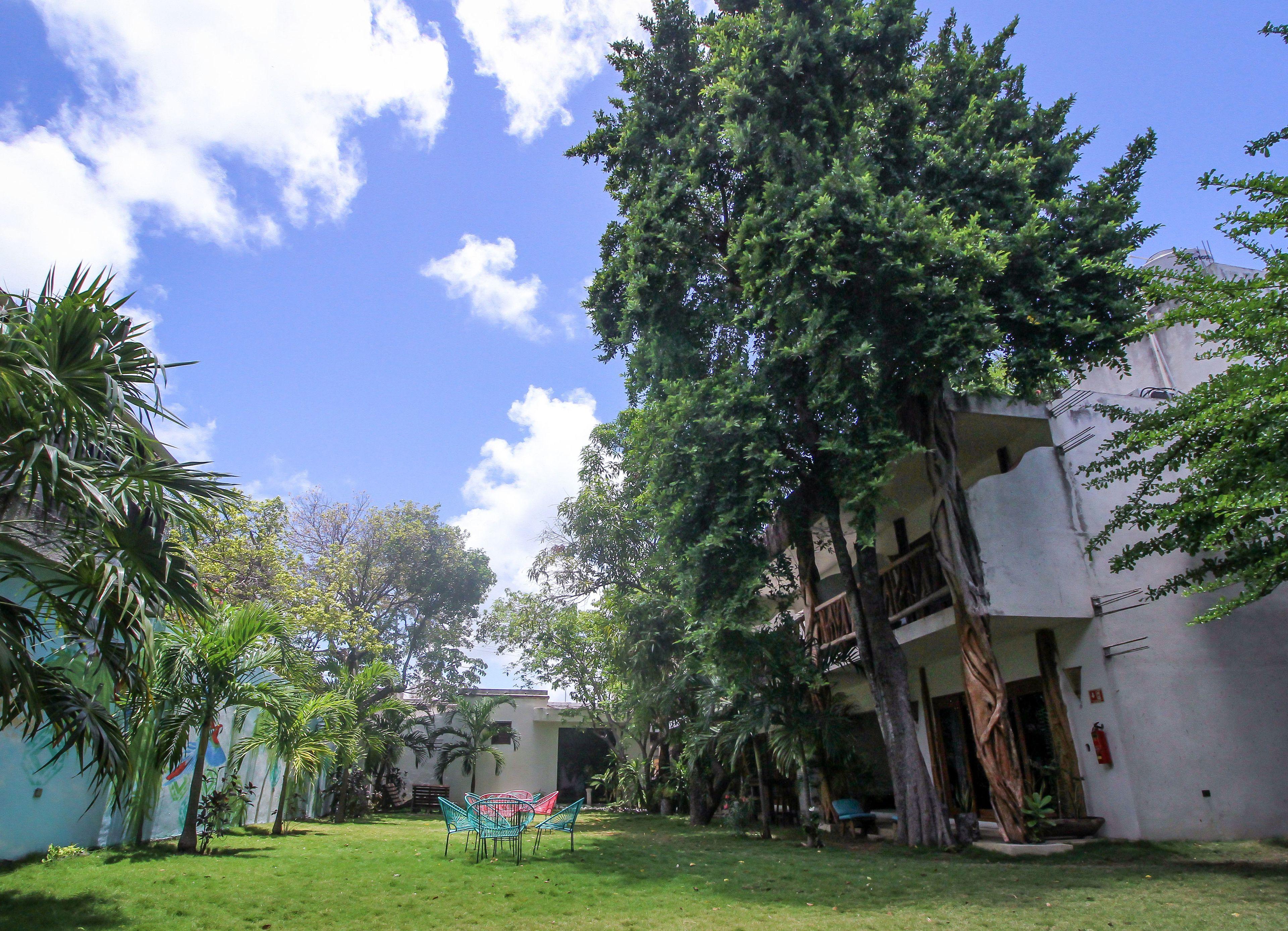 Eos Wellness By Amazonia