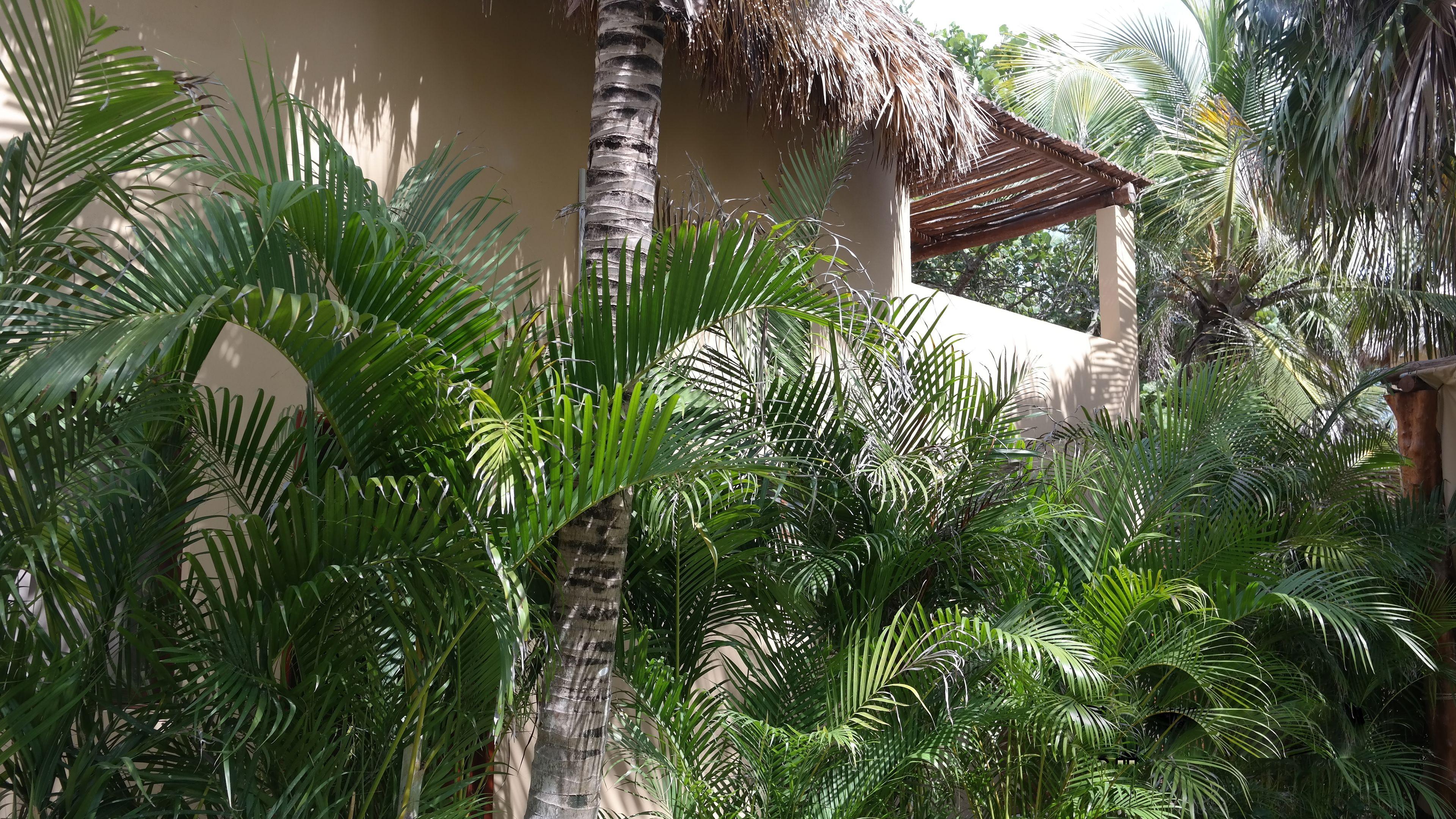 Hotel Arenablue Tulum 4*