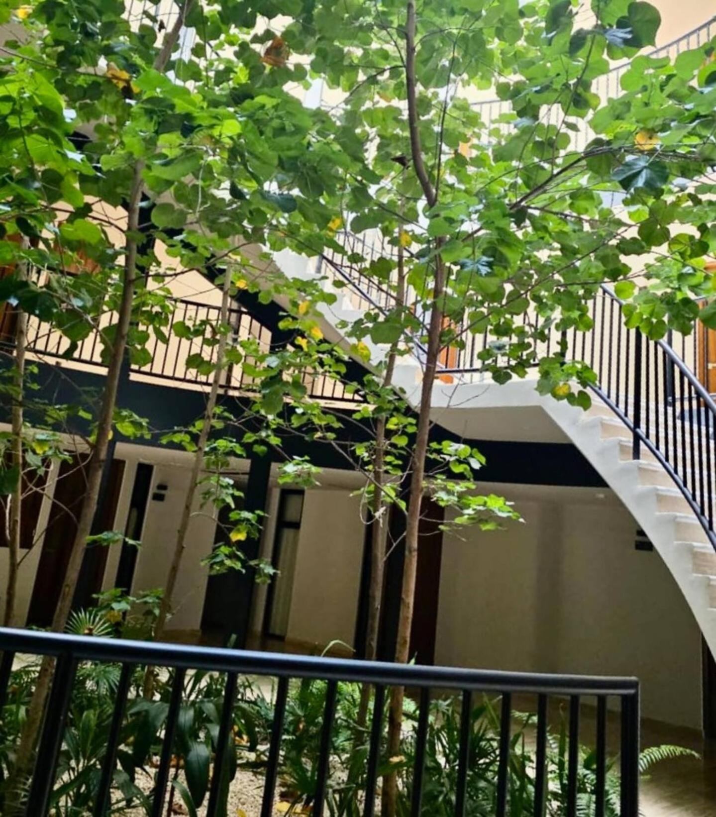 3br In Tuk Pool, Padel & Balcony Tulum