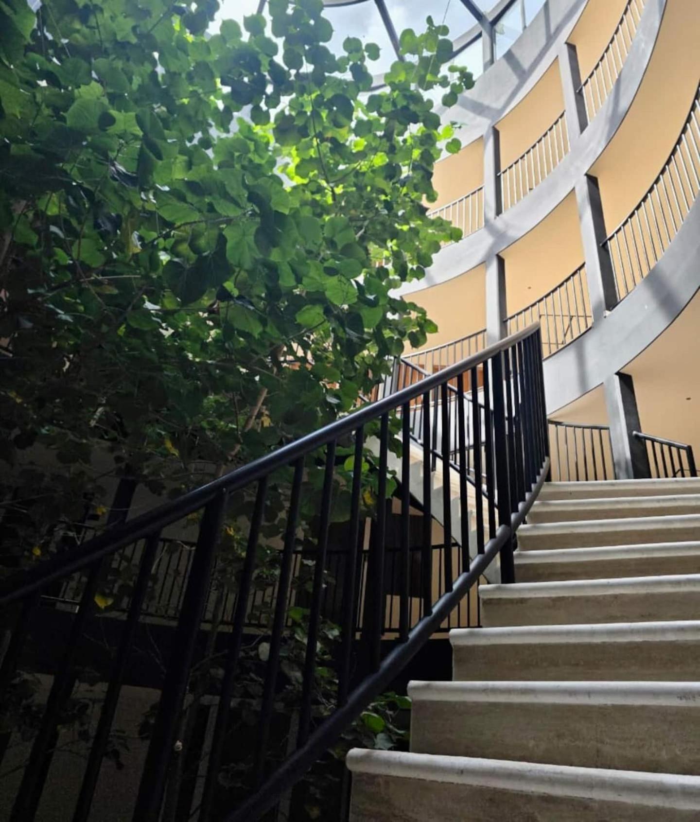 3br In Tuk Pool, Padel & Balcony