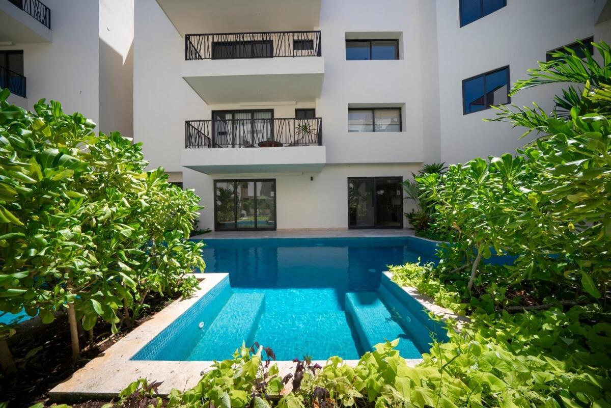 Modern In Pool And Gym * Tulum