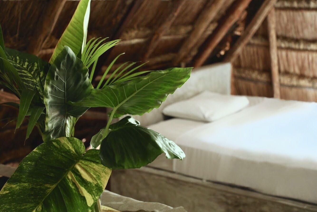 Aparthotel Tuup Jungle