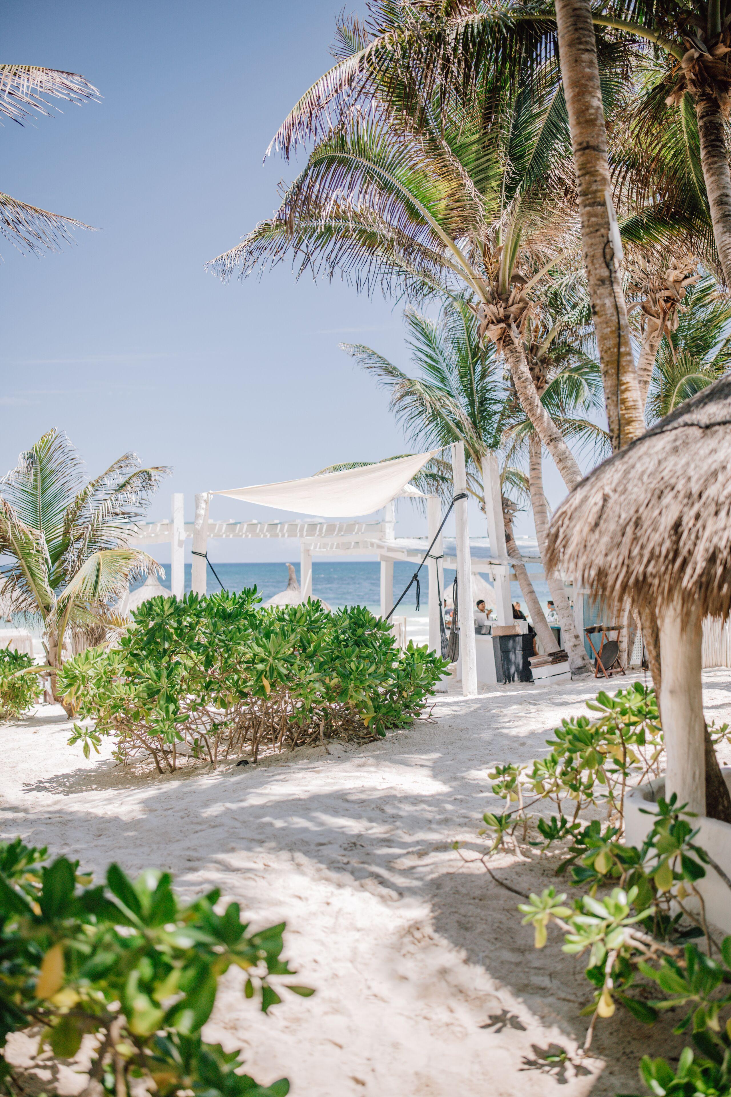 Hotel Coco Unlimited