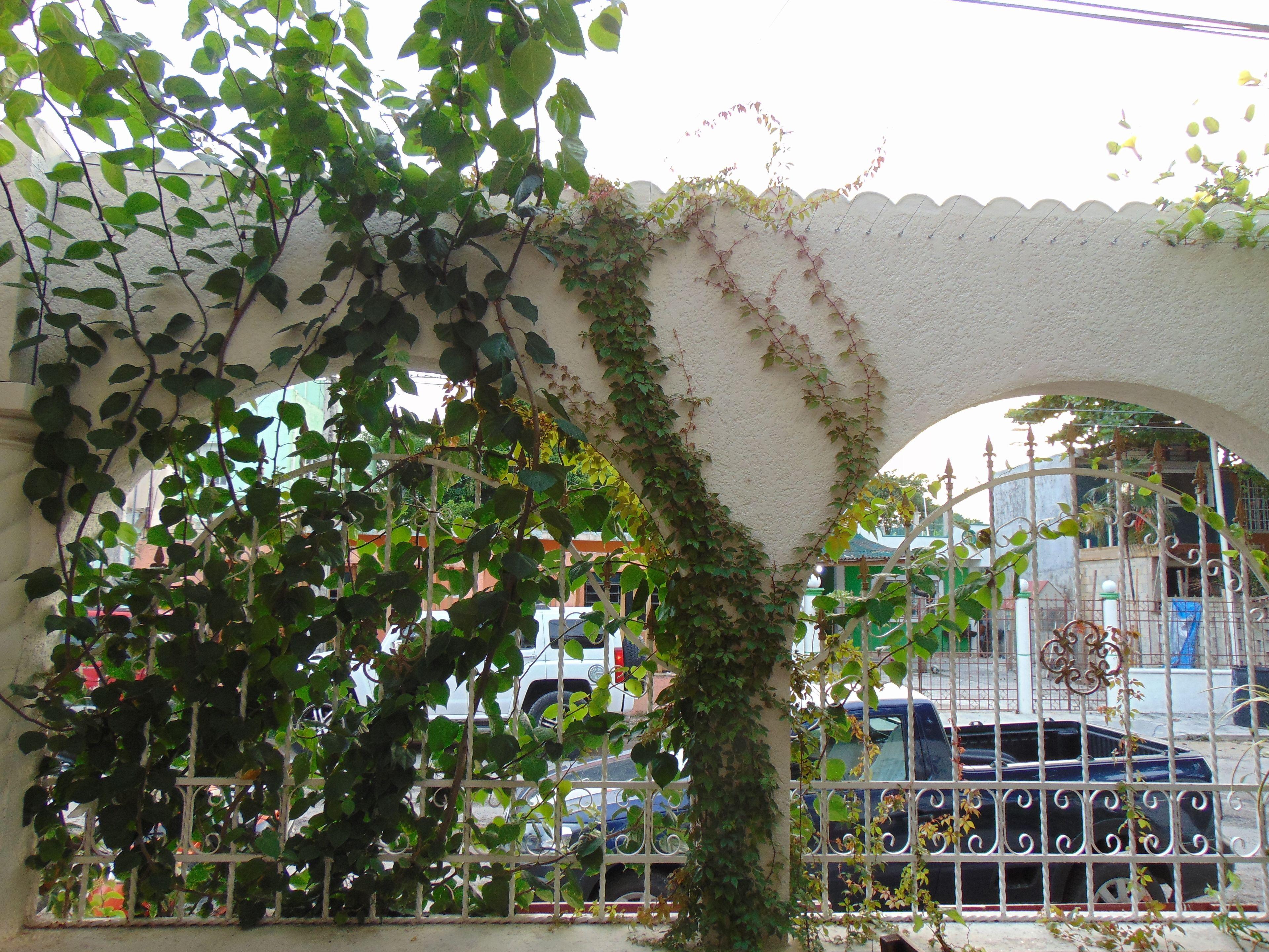 Nativos Boutique Hotel Tulum