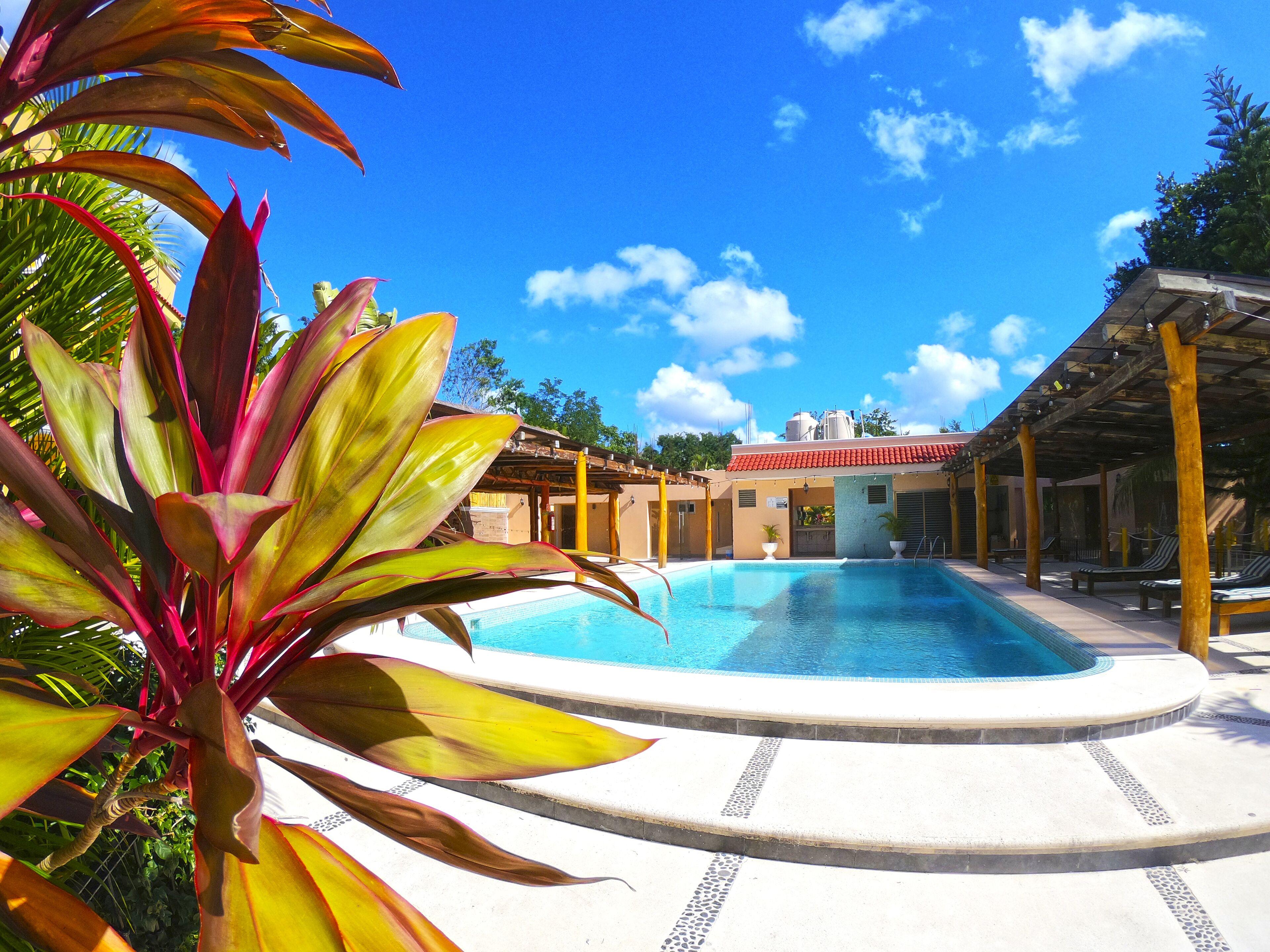 Hotel Scarlette
