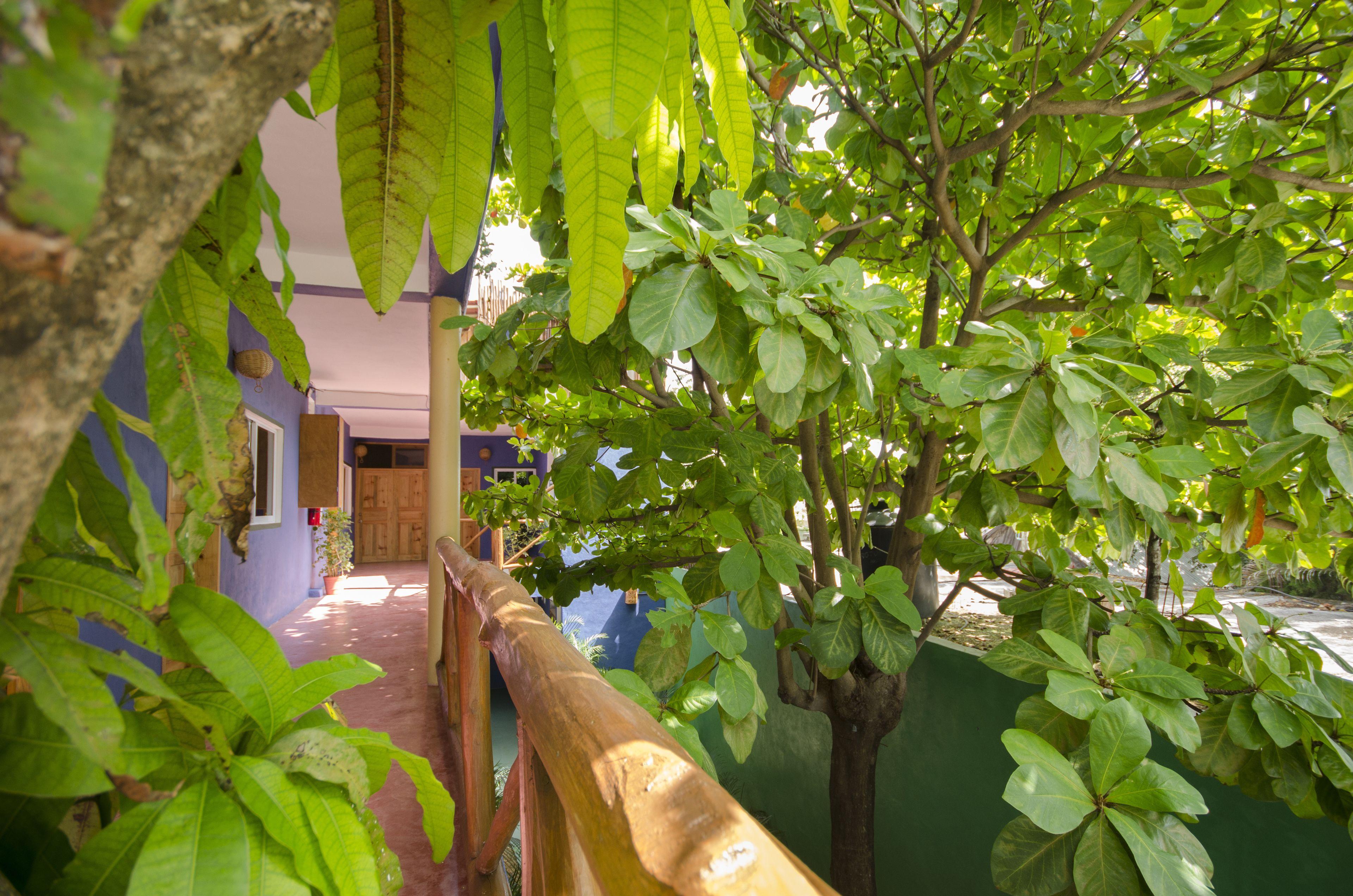 Casa Almendro Tulum
