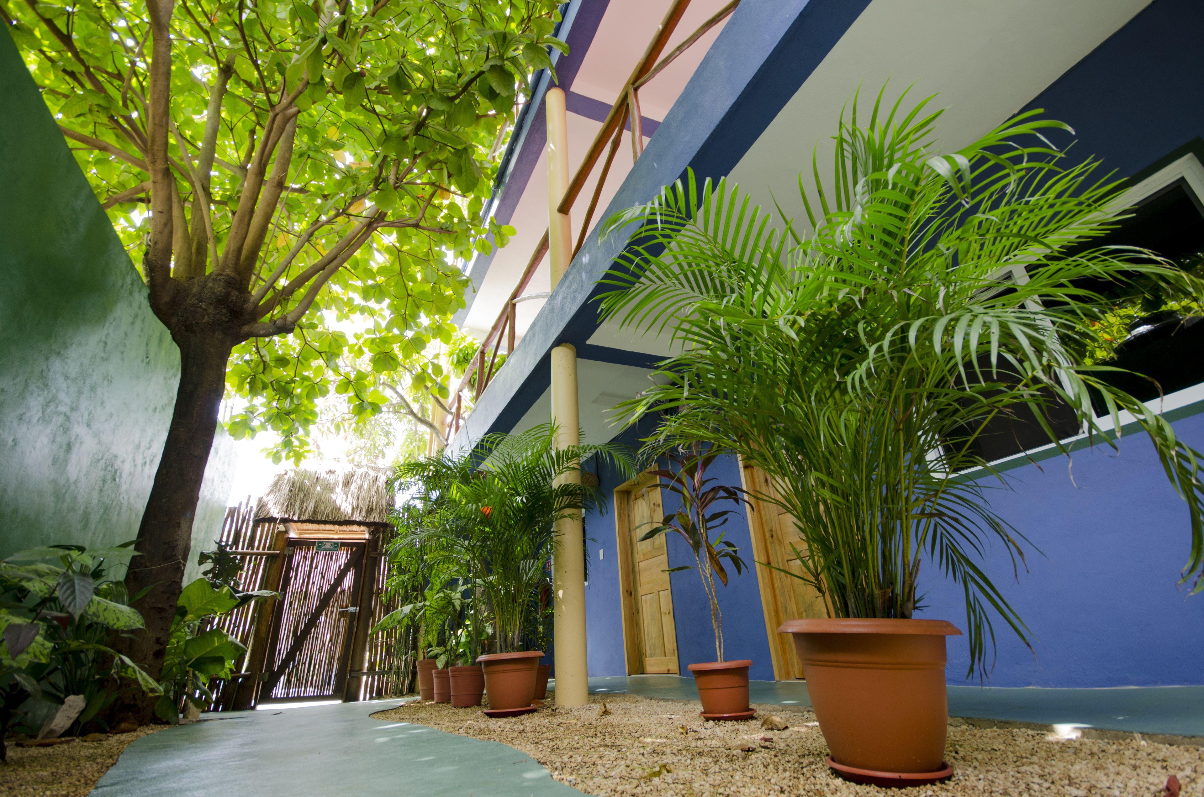 Casa Almendro Hotel Tulum
