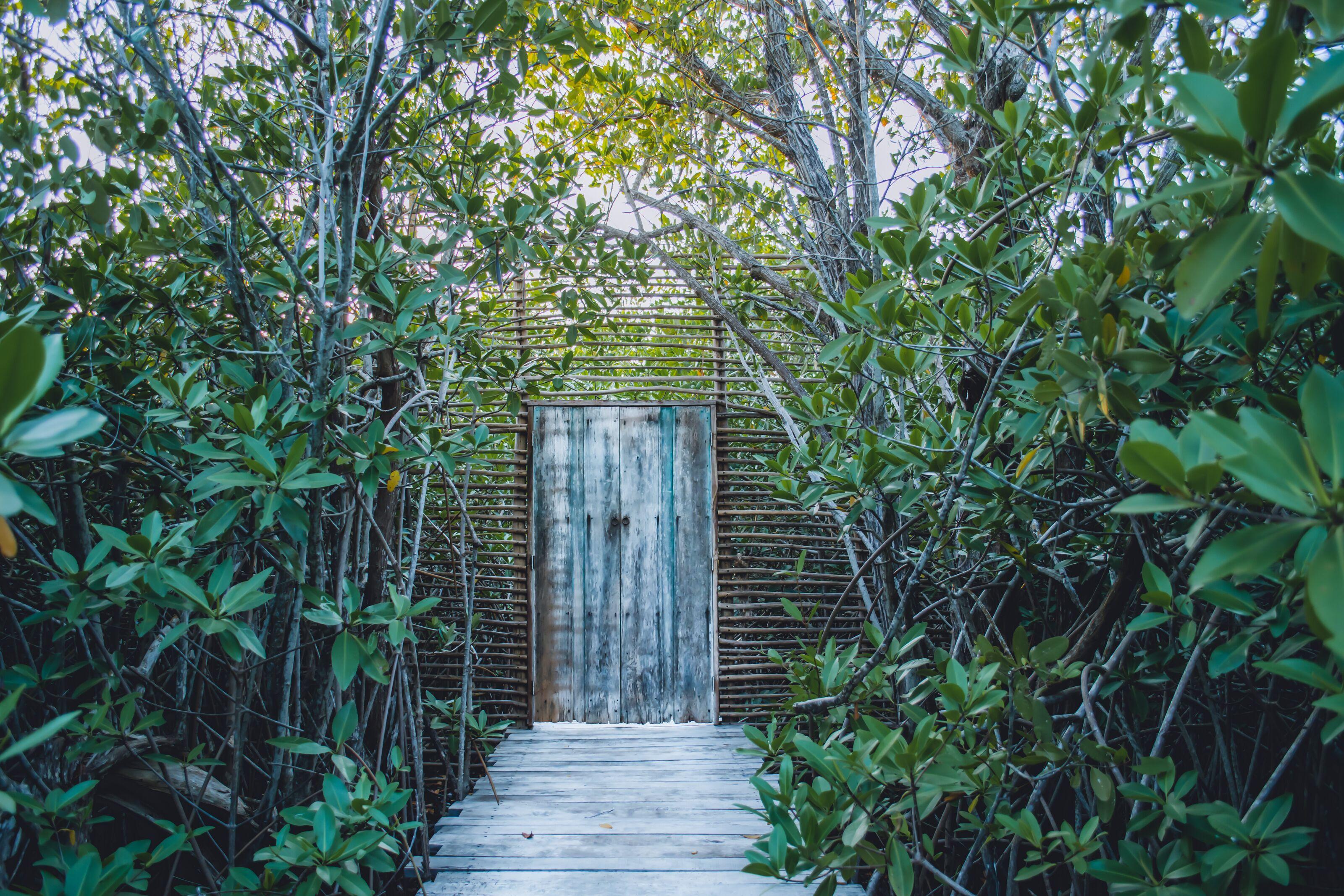 Nativus Glamping & Cenote Tulum