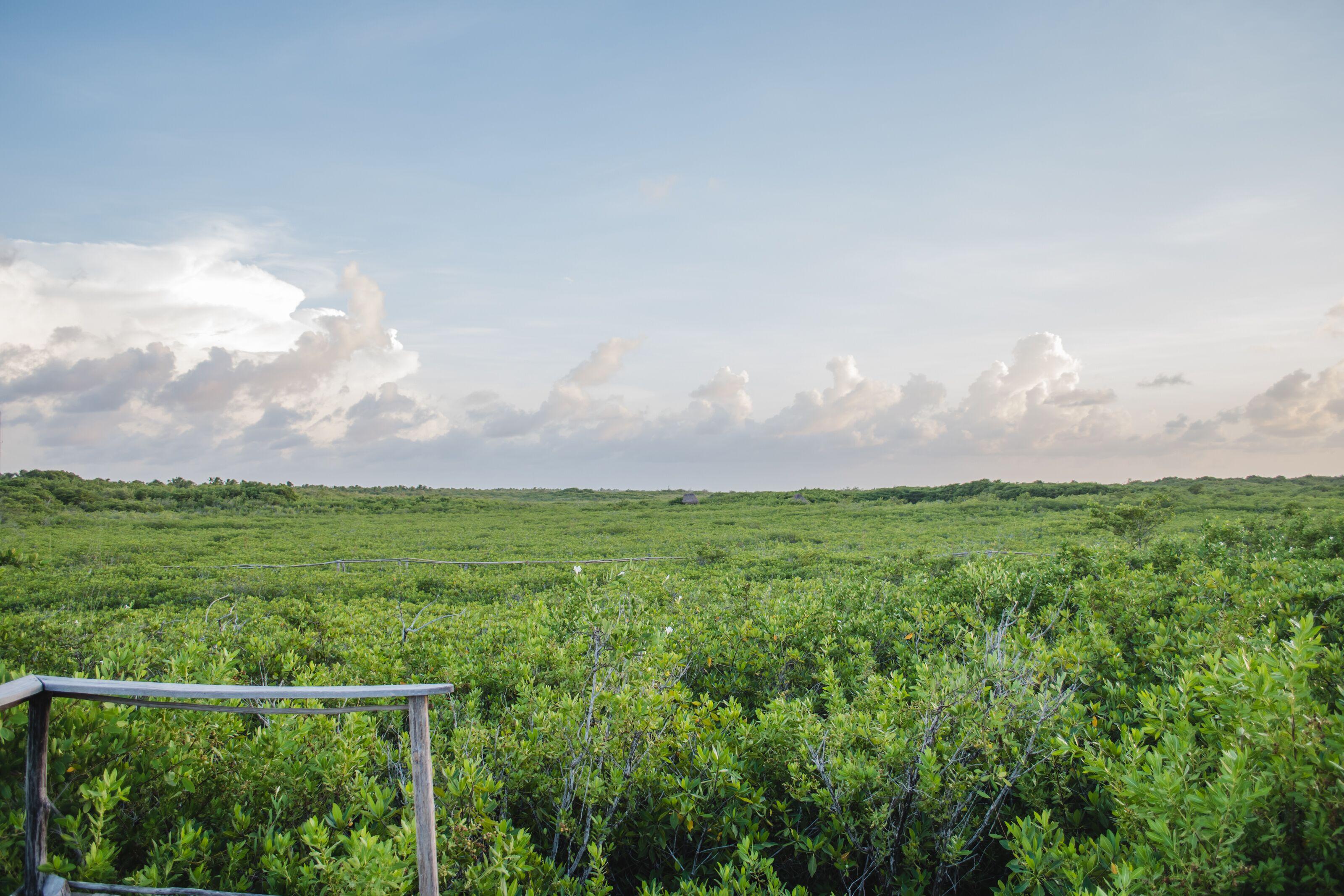 Nativus Glamping & Cenote 3*