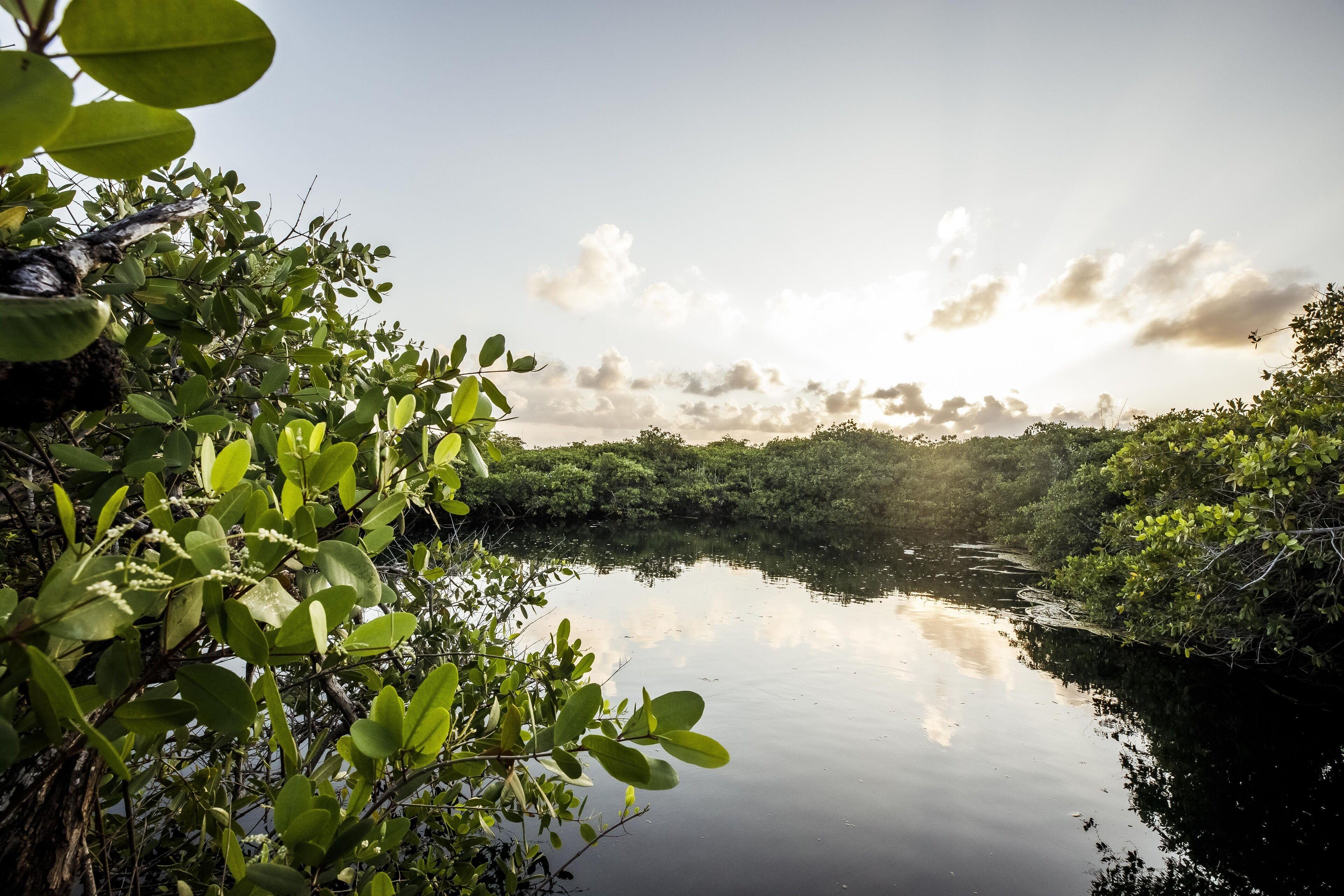 Casa Teka - Boutique & Cenote Tulum