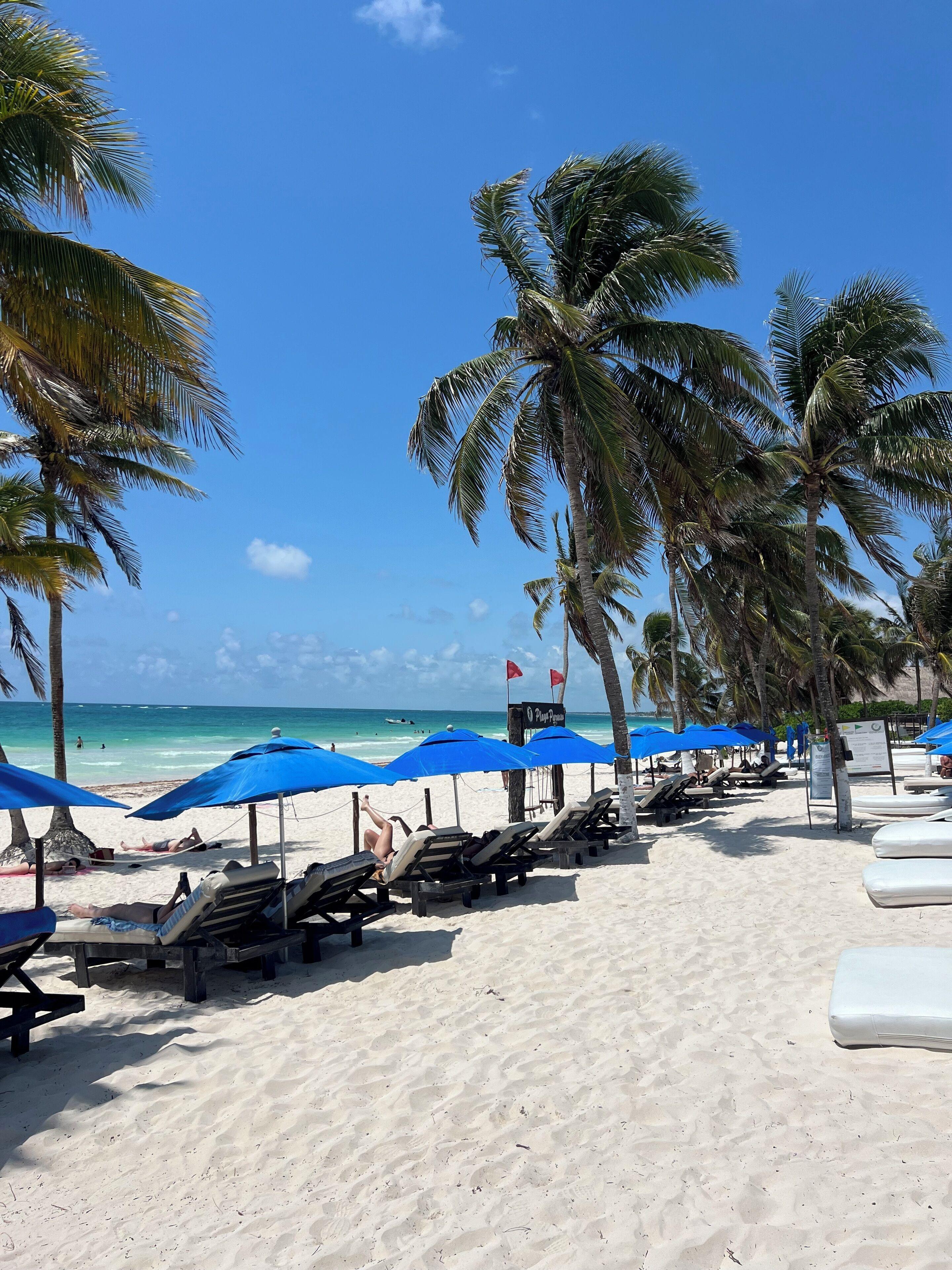 El Paraiso 4*