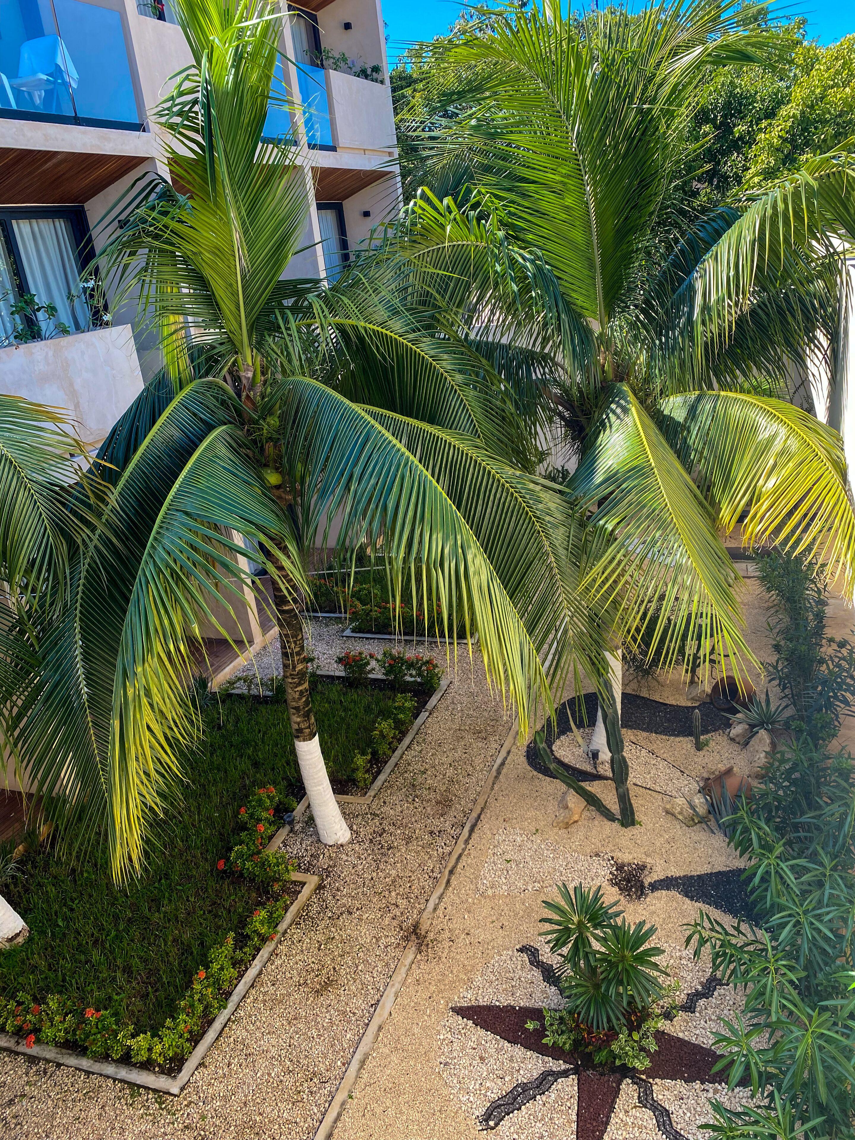 Moonshine & 3* Tulum