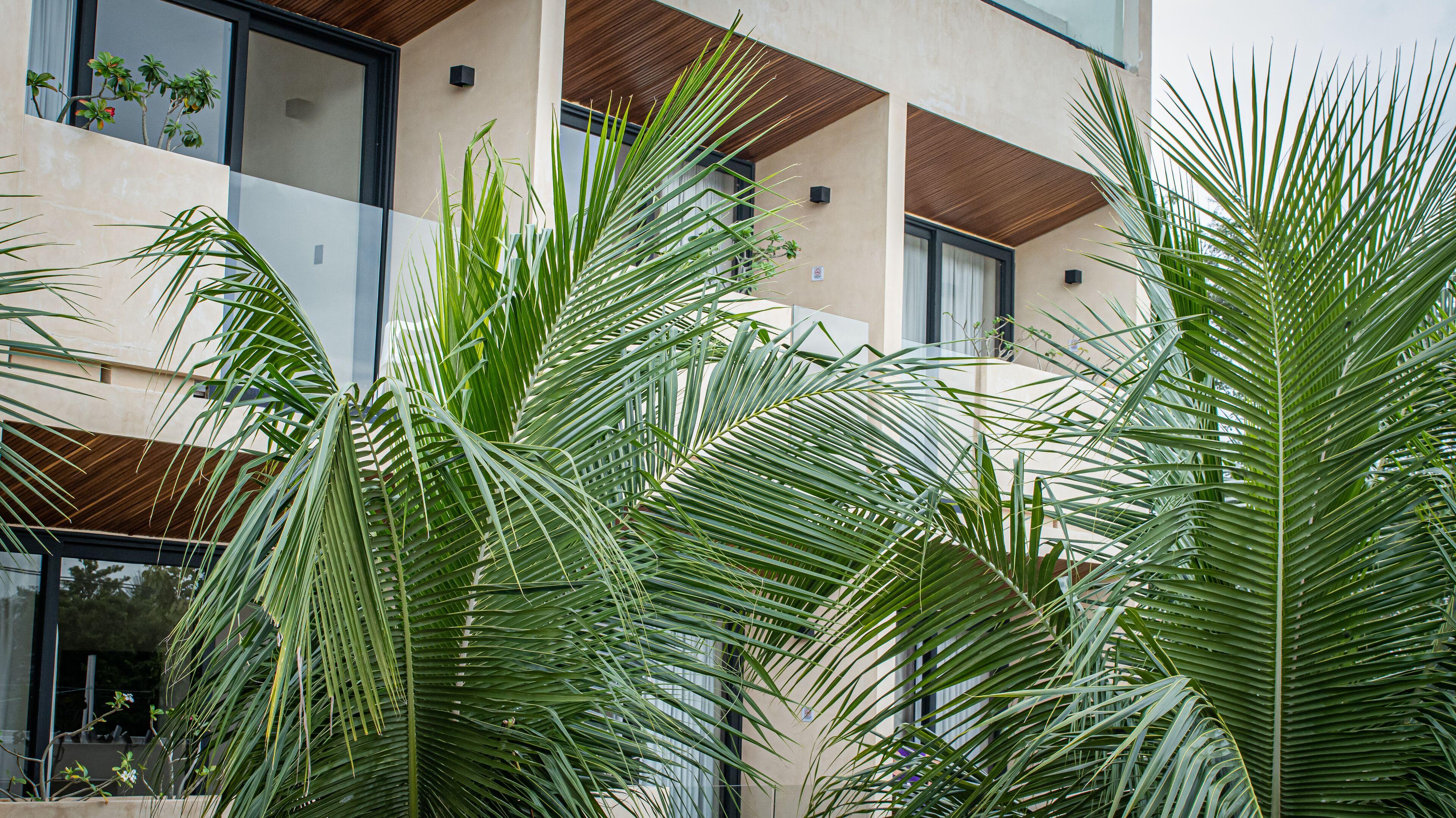 Hotel Moonshine & Tulum