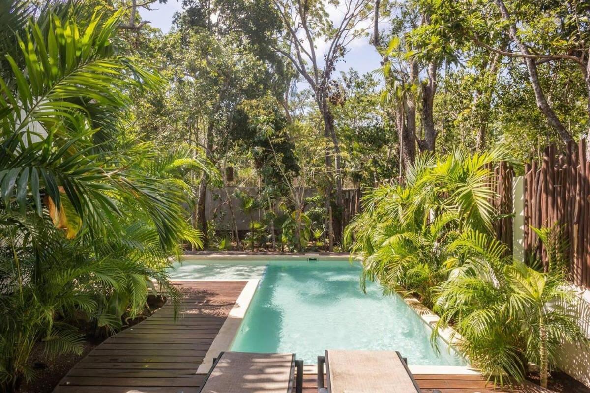 Mayan Culture With Rooftop Pool Tulum