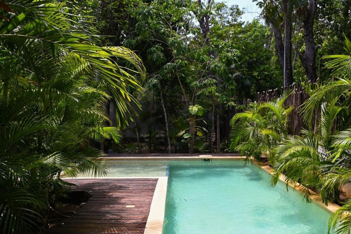 Mayan Culture With Rooftop Pool Tulum