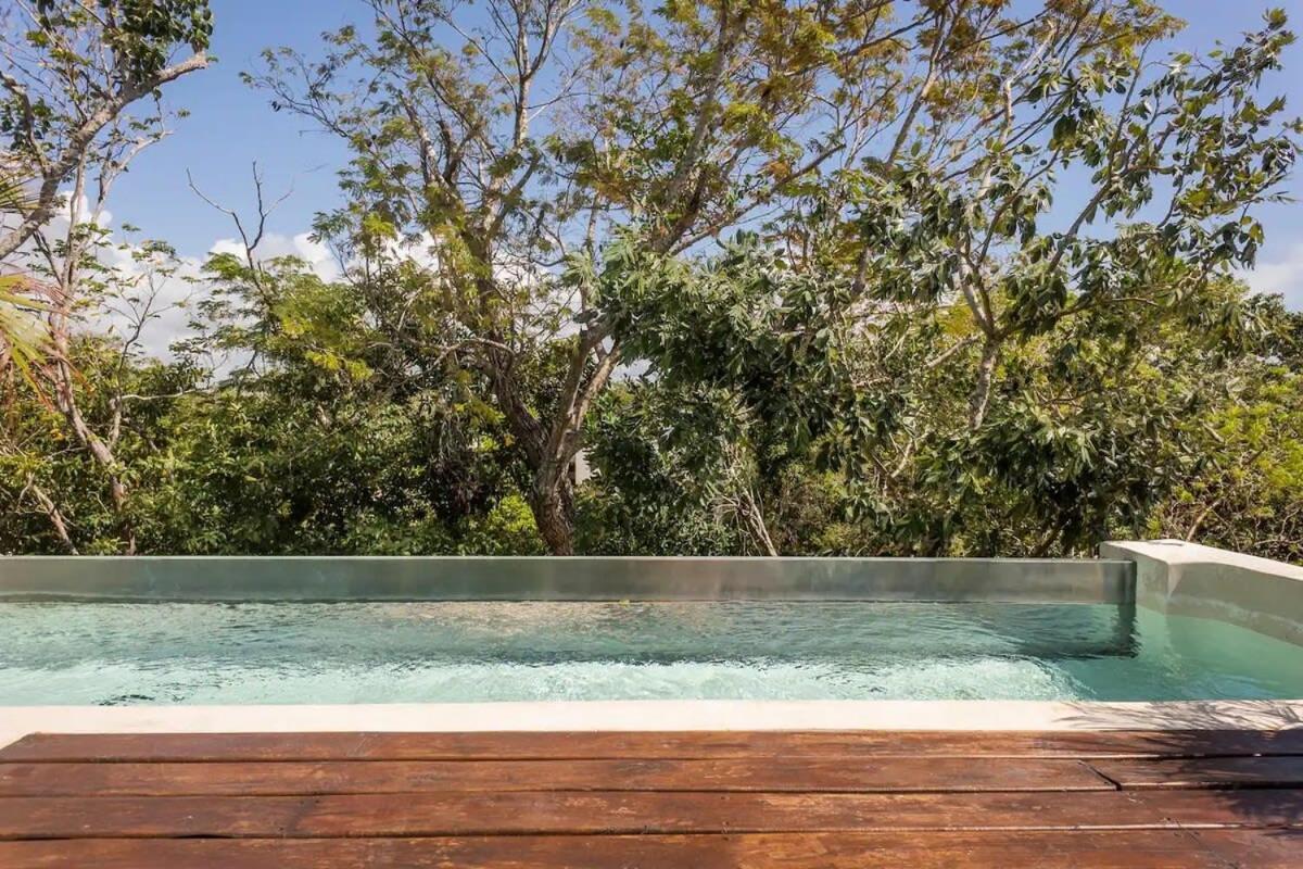 Mayan Culture With Rooftop Pool Tulum