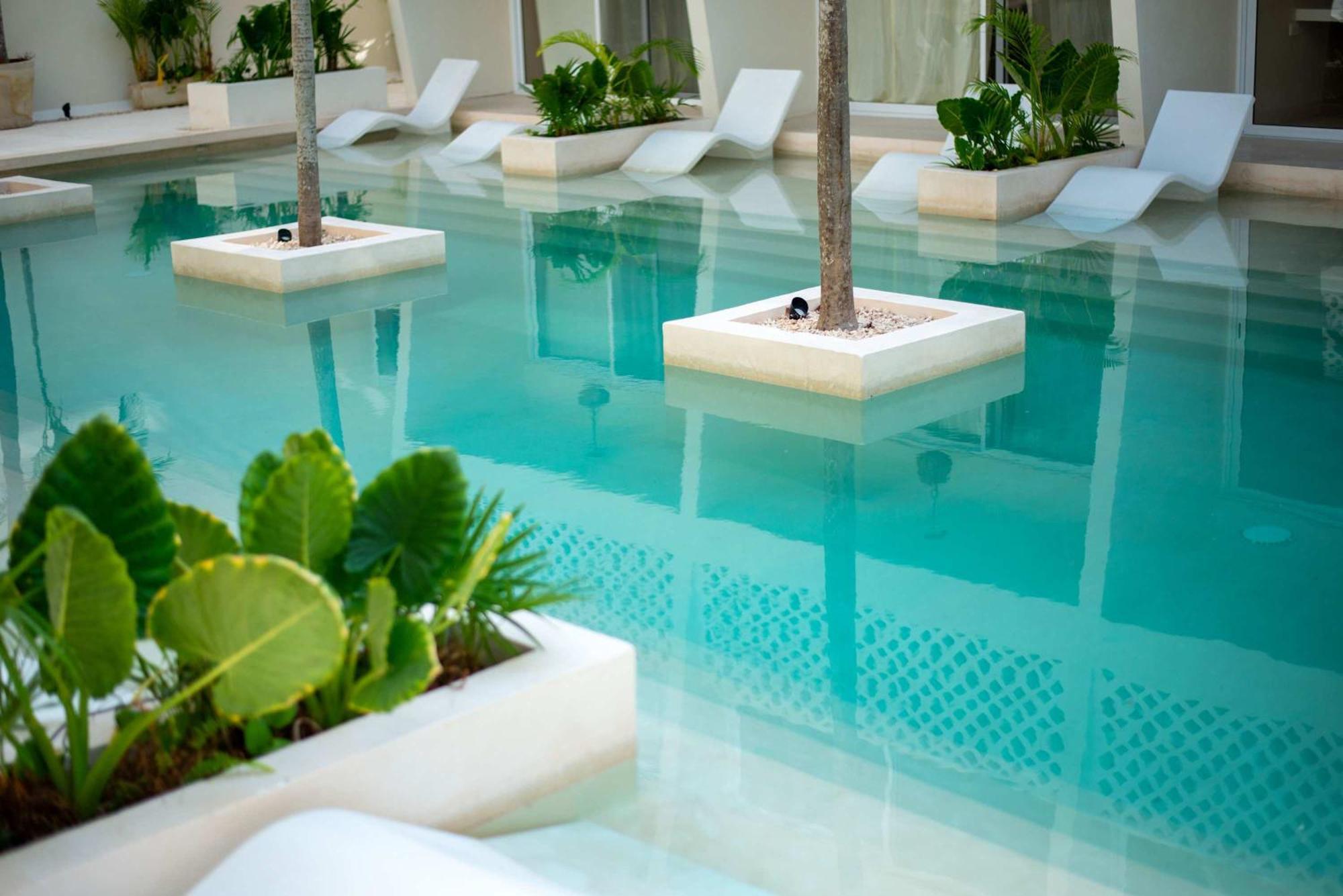 Apartamento Luxury Jungle With Shared Pool