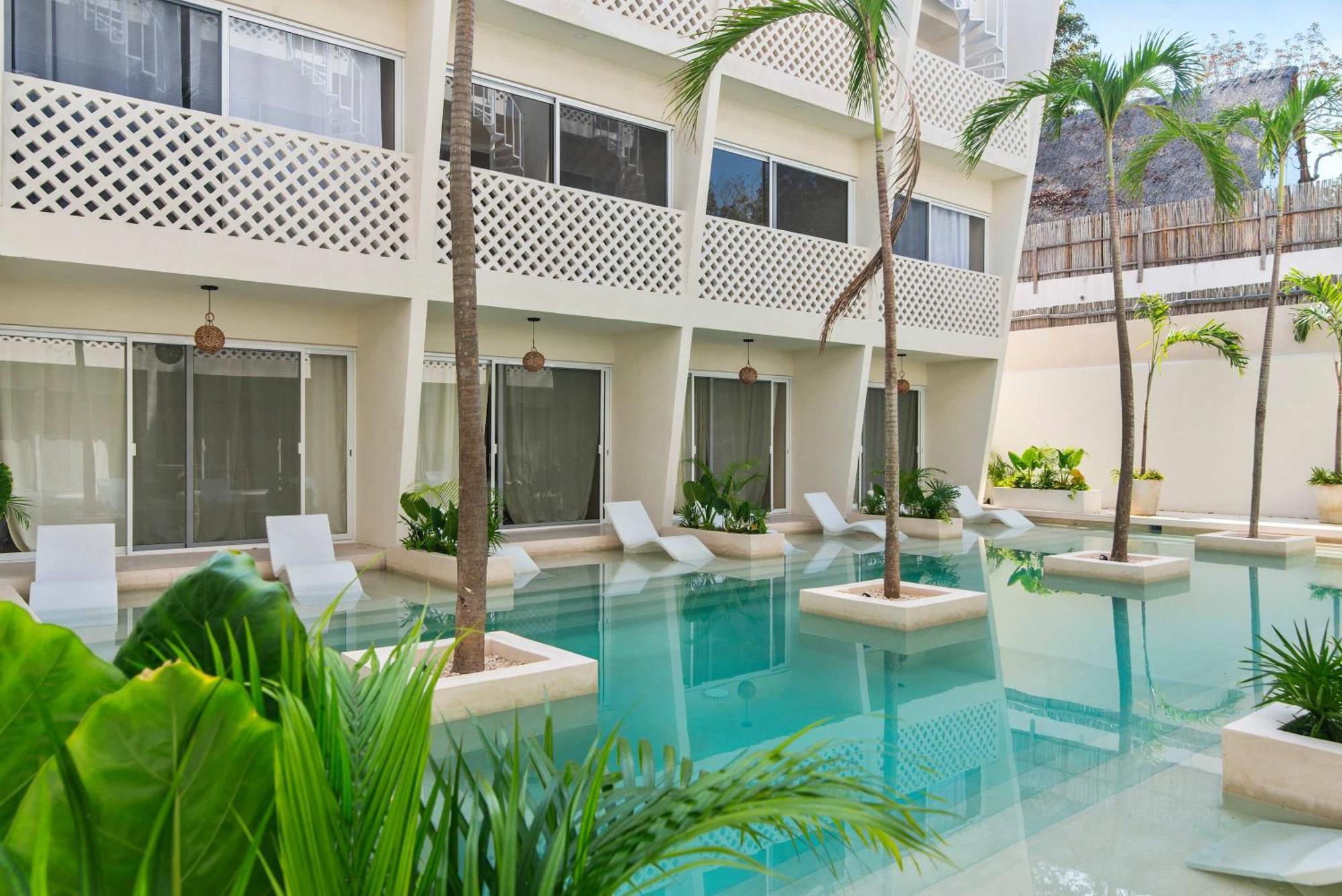 Apartamento Luxury Jungle With Shared Pool