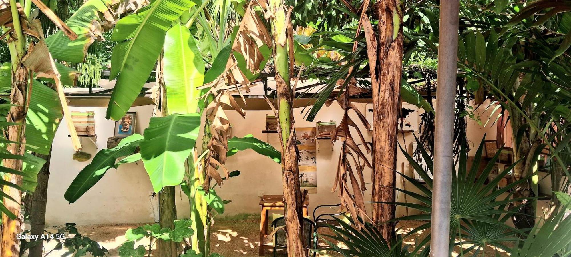 Casa Don Diego Tulum