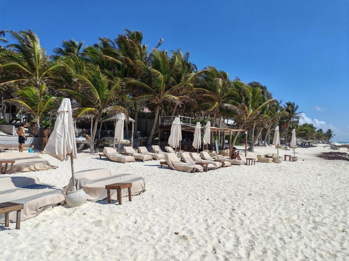 Apartment High Vibes Sunrise Haven