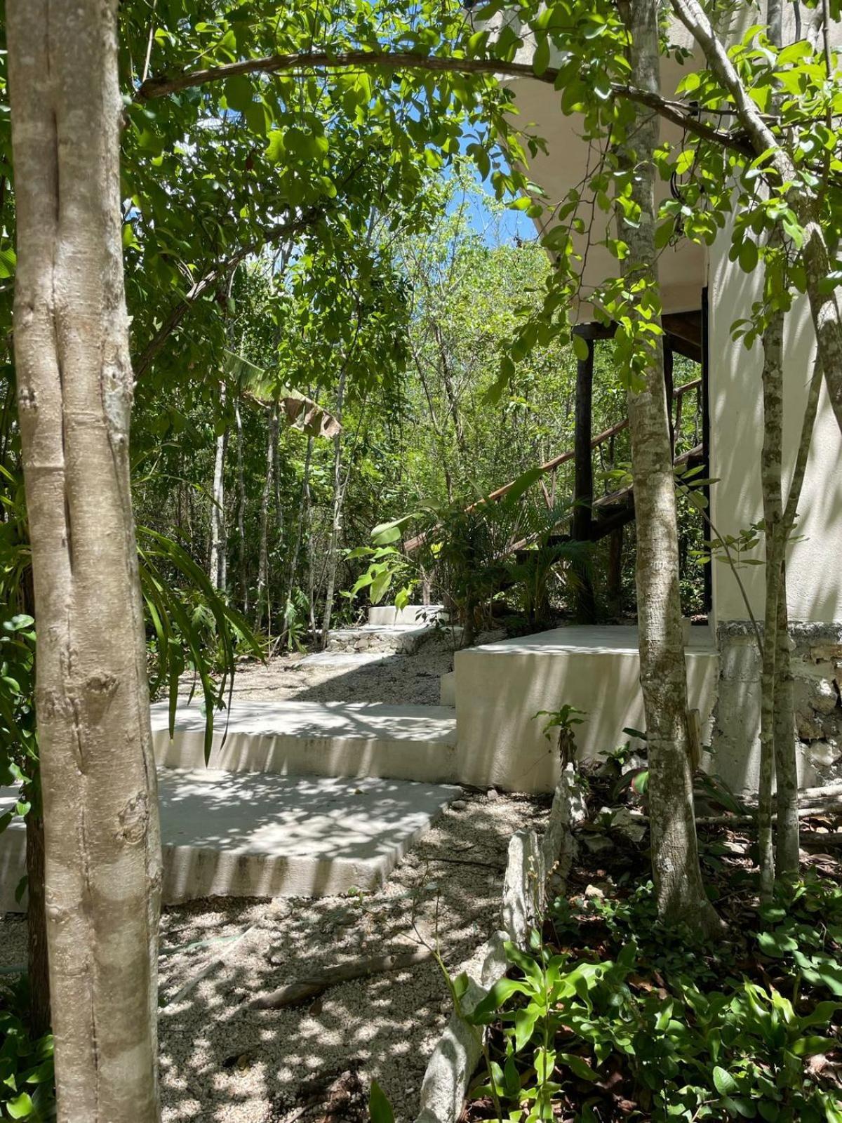 Bed & Breakfast Aldea Yuyu *