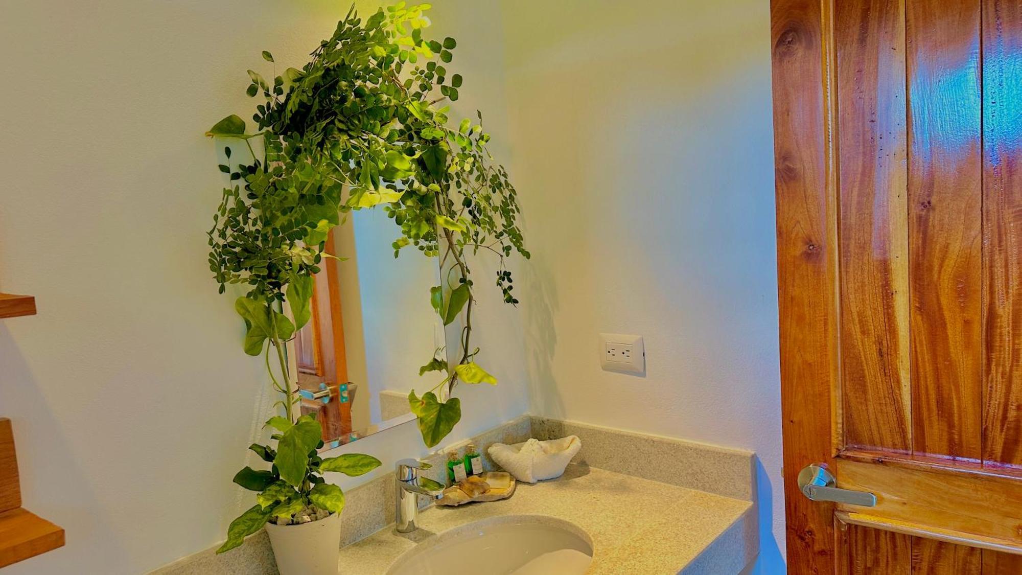 Ich Ha - Adults Only Hotel *