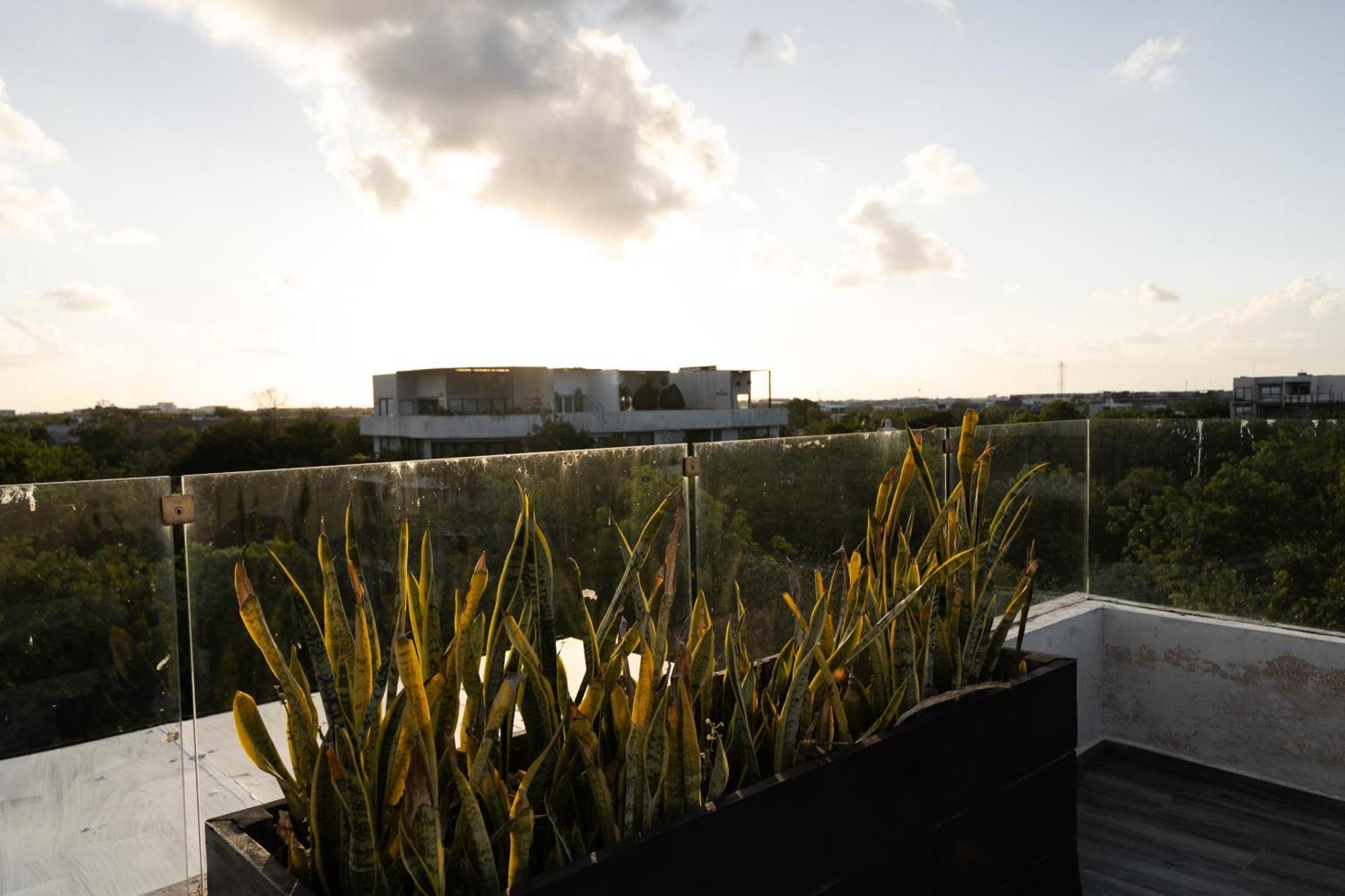 Apartment Kataleya Tulum: Luxury Jungle Penthouse With Private Pool *
