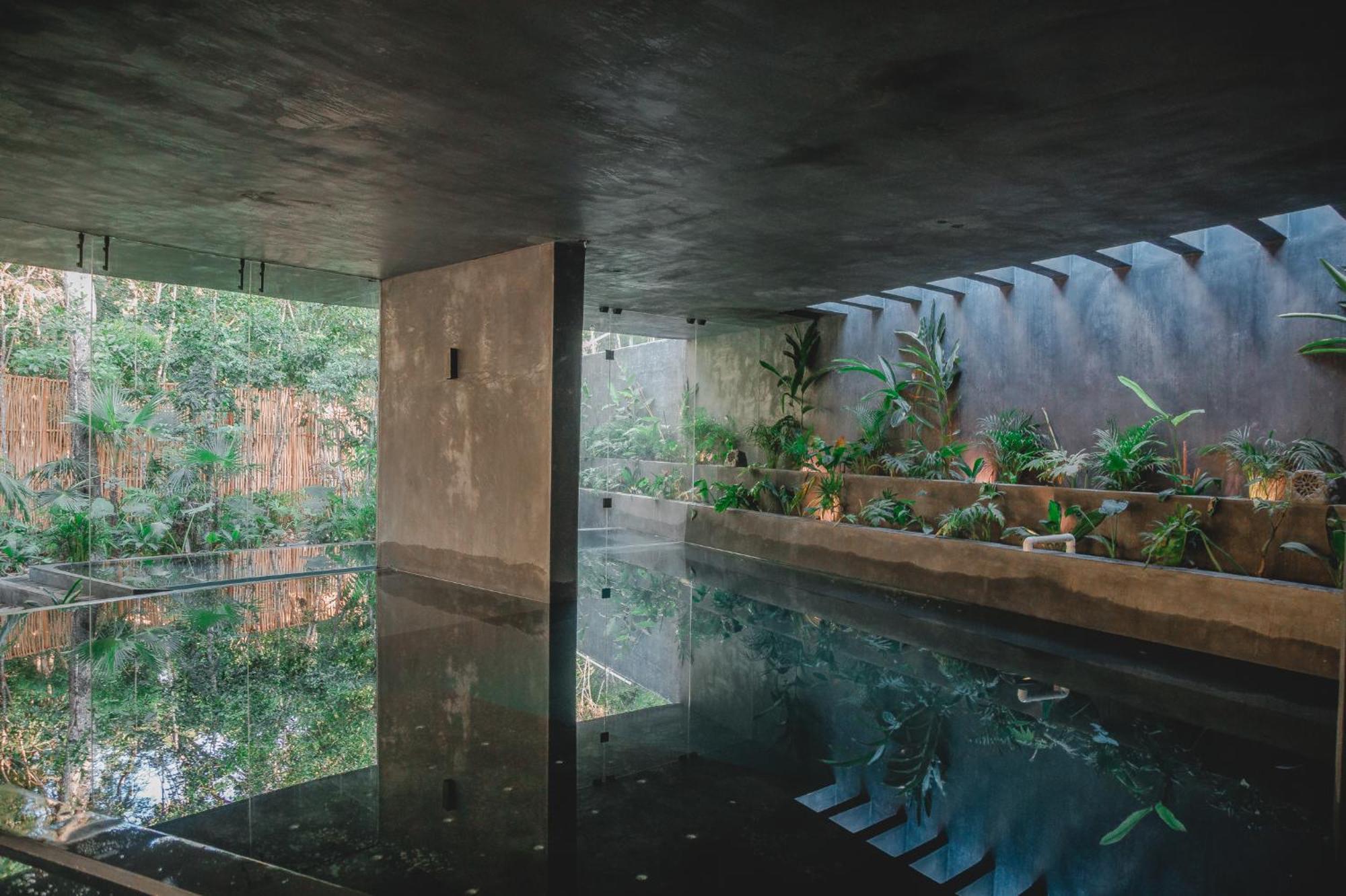 Kataleya Tulum: Luxury Jungle Penthouse With Private Pool Apartment *