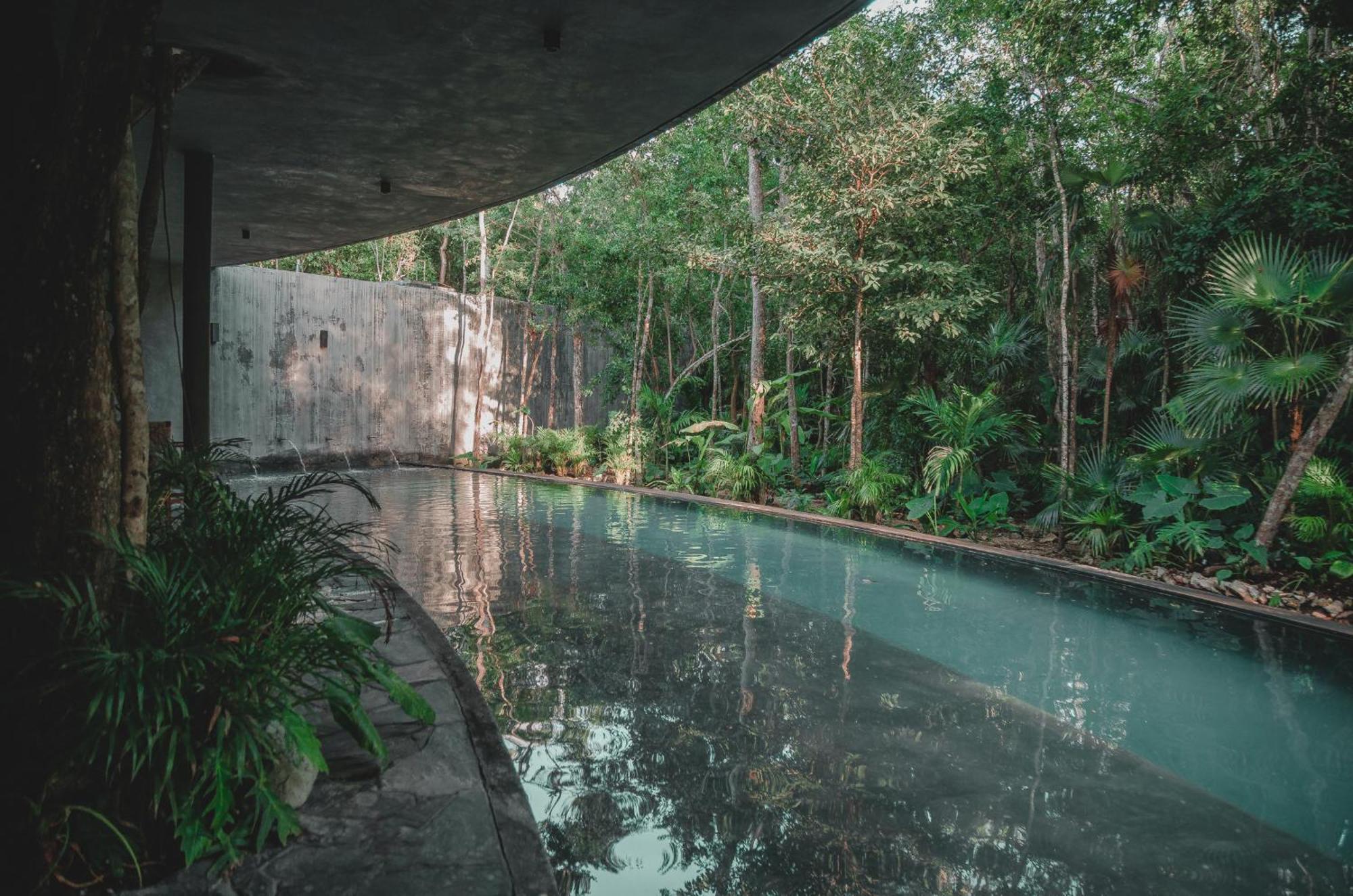 Apartment Kataleya Tulum: Luxury Jungle Penthouse With Private Pool Tulum