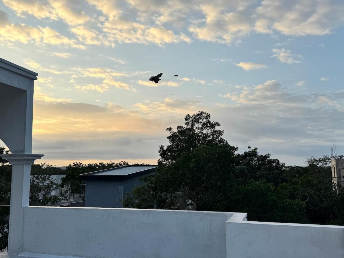 Jungle Loft With Pool And Rooftop Near And Cenotes And Dowtown! Fast Wifi! Perfect For Expats