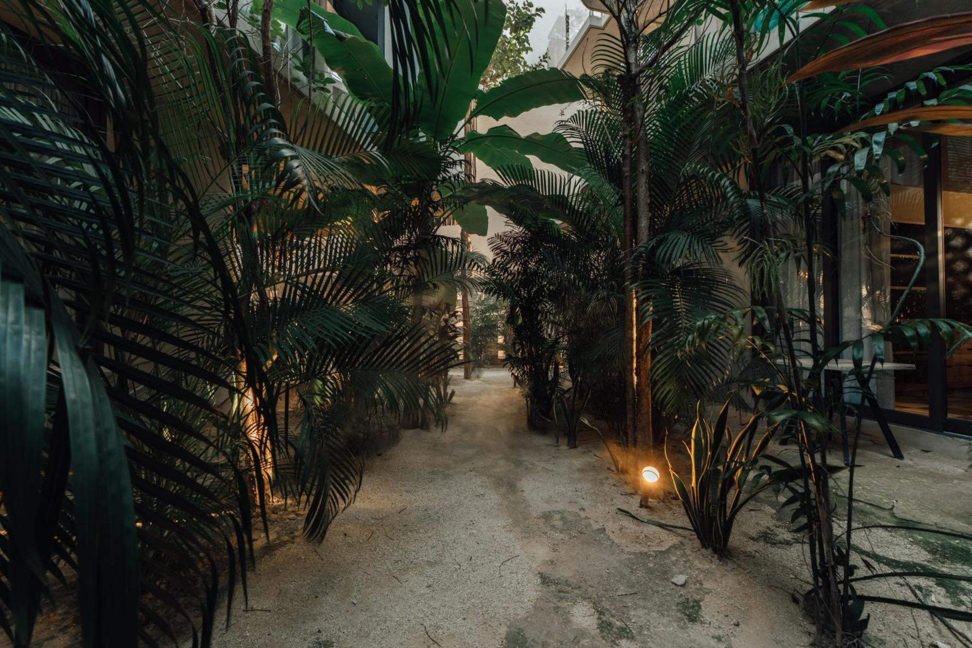 Naj Boutique - Aldea Zama