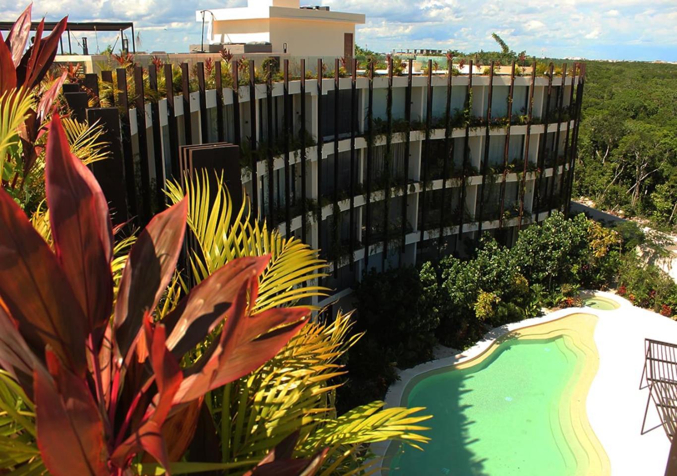 Jungle Loft Patio Selva 4 Pools Club *