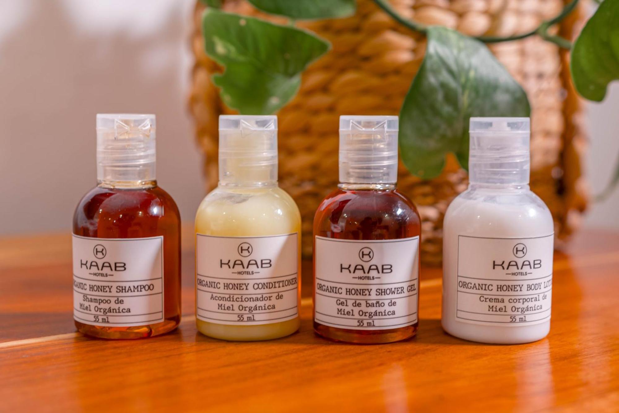 Collection O Kaab Boutique Tulum Centro, Pool And Parking Hotel Tulum
