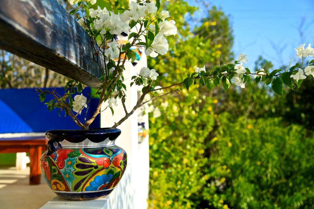 Casa Chachalaca Tulum