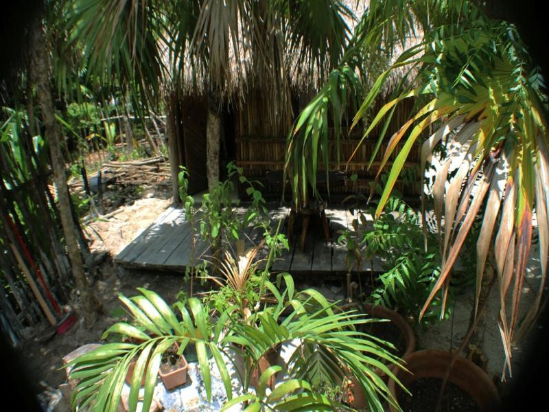 Maya Y Cenote Hotel Tulum