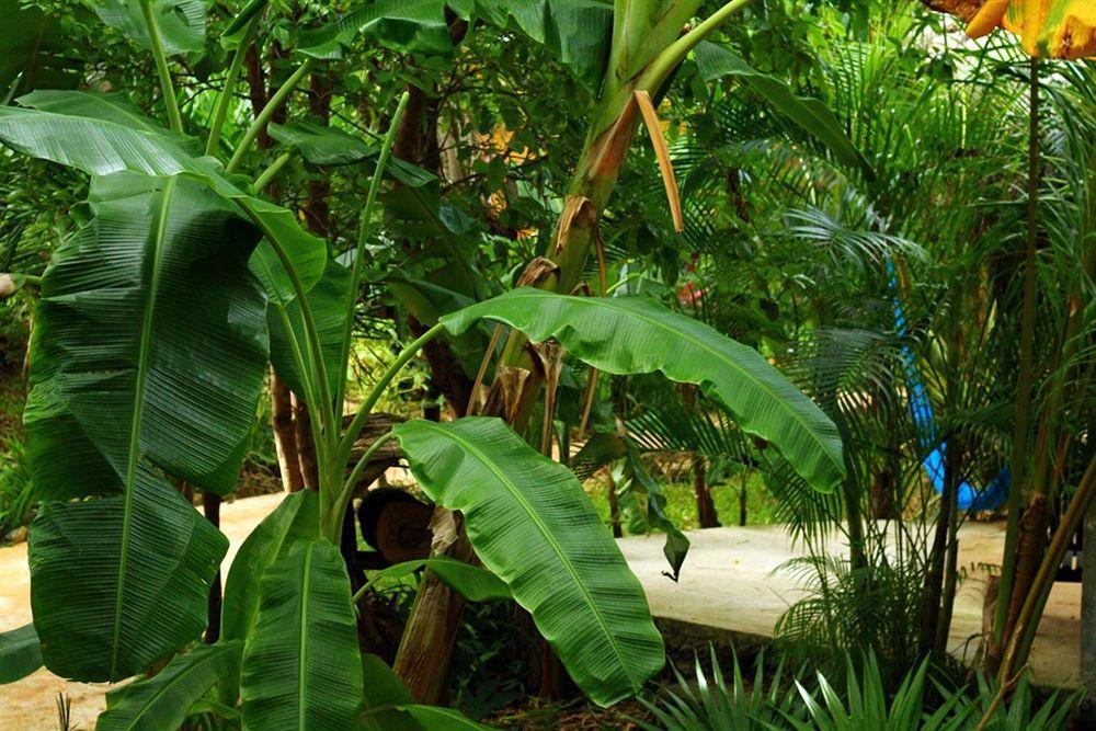 Bed & Breakfast Casa Don Diego 3*